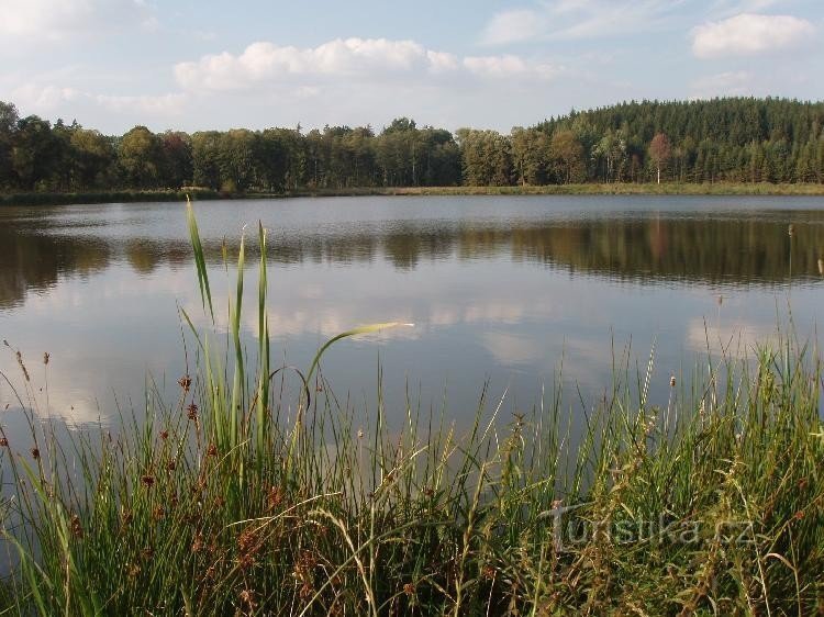Bohušovský rybník 2: Pohled na Bohušovský rybník ze směru Bohušov