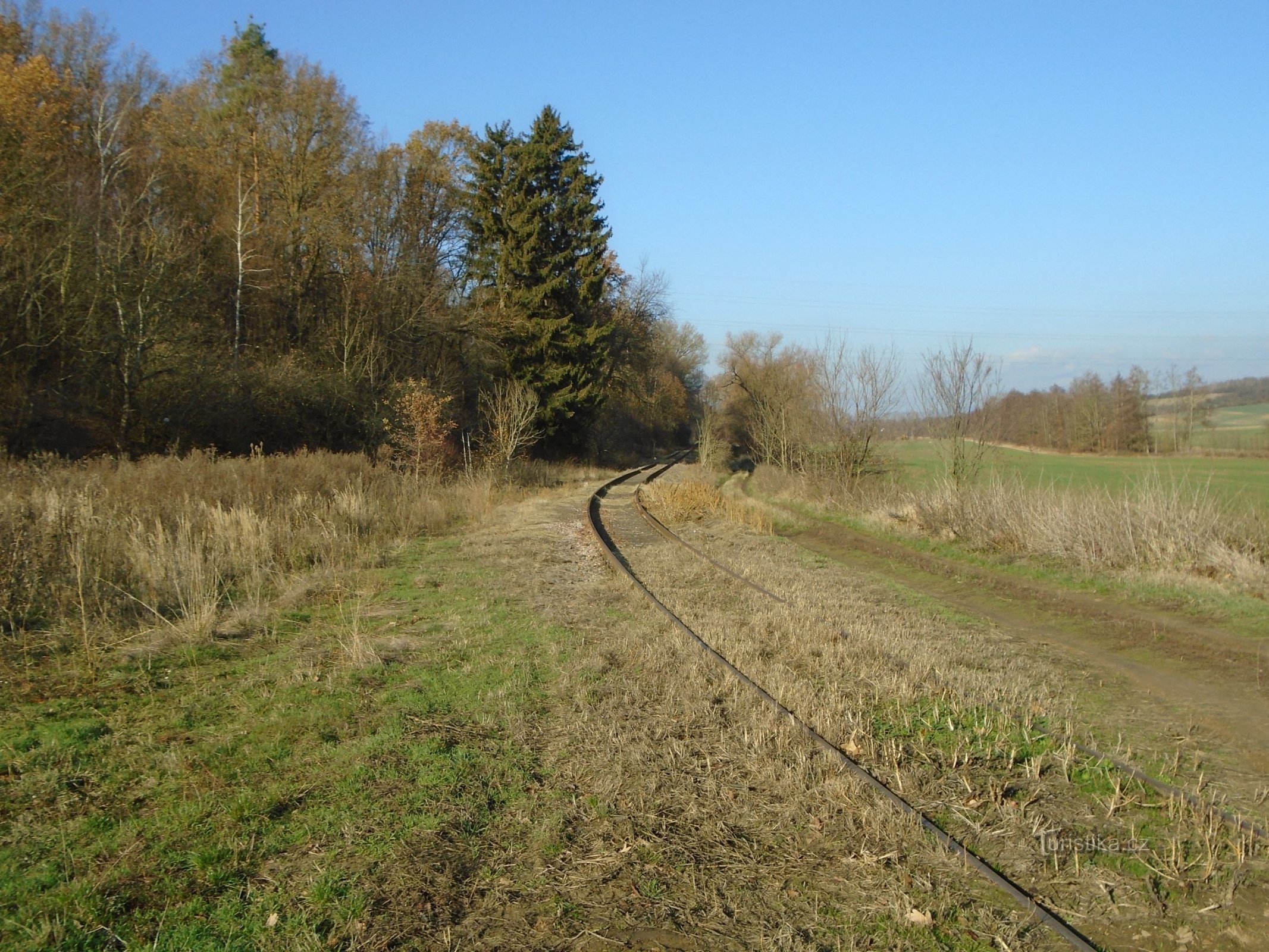 Část lesa pod Sendražickou strání se železniční tratí (Sendražice, 16.11.2018)