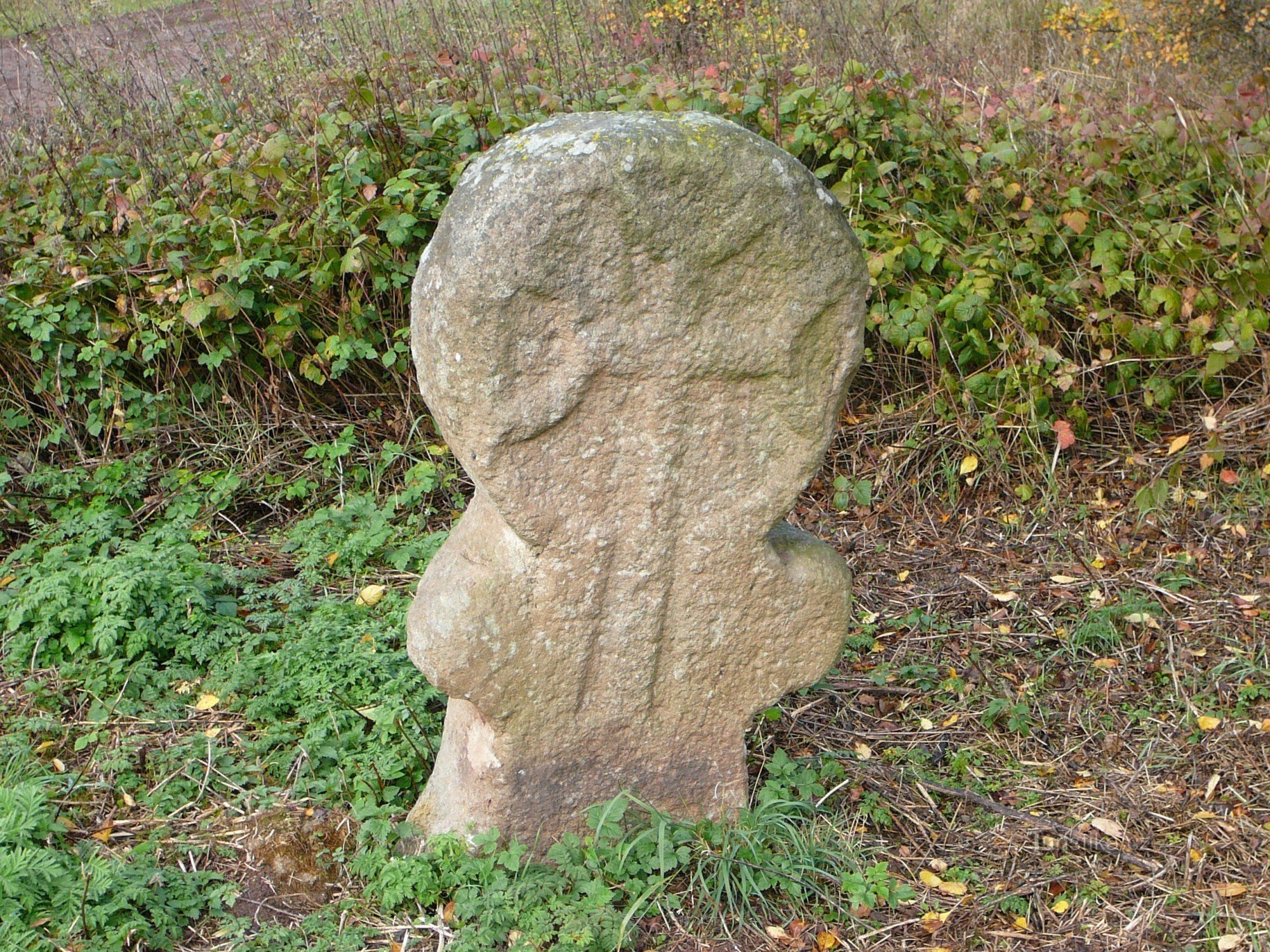 Kamenný kříž v Ležkách ze předu