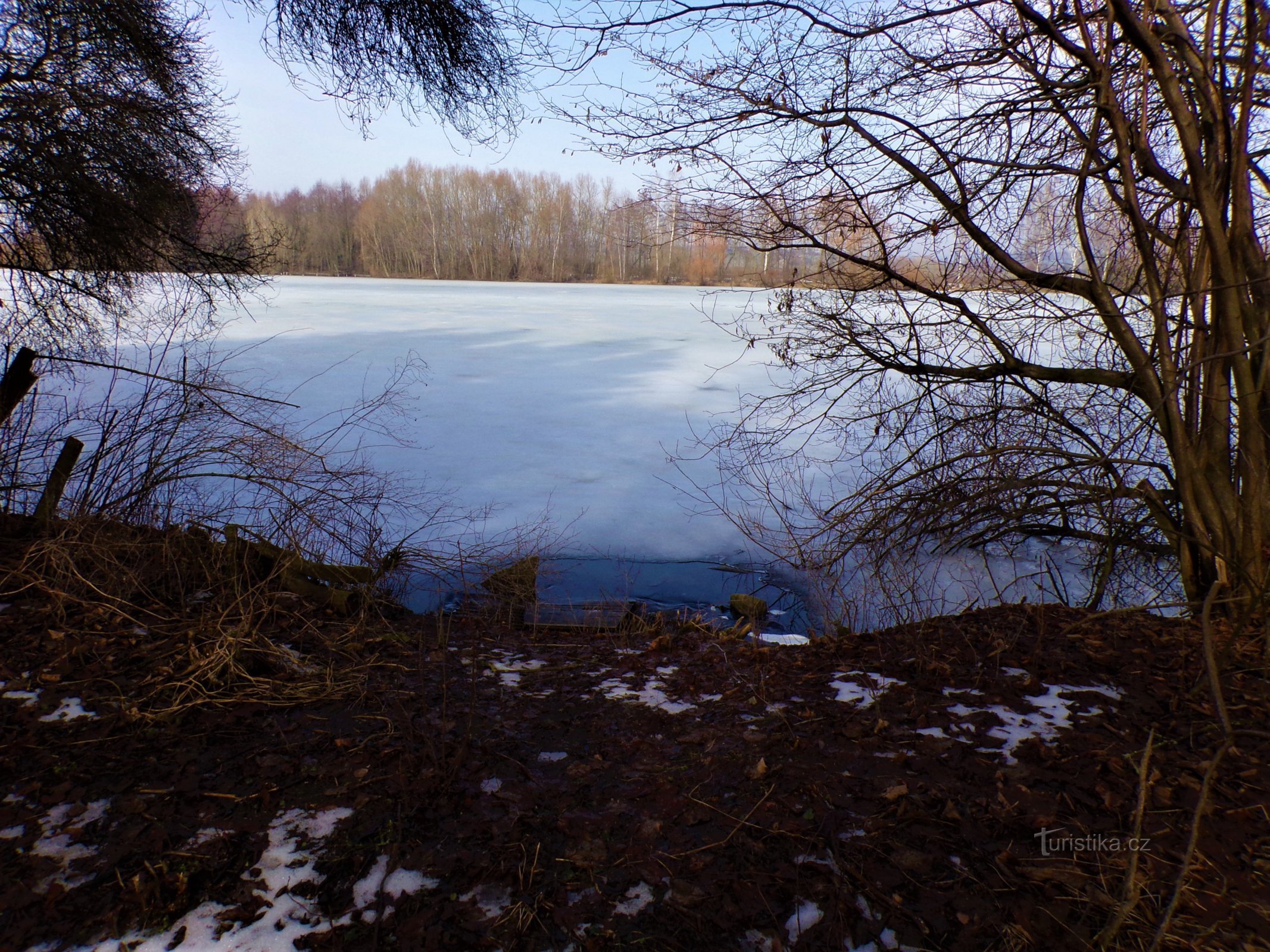 Kozinský rybník (Sadová, 25.2.2021)