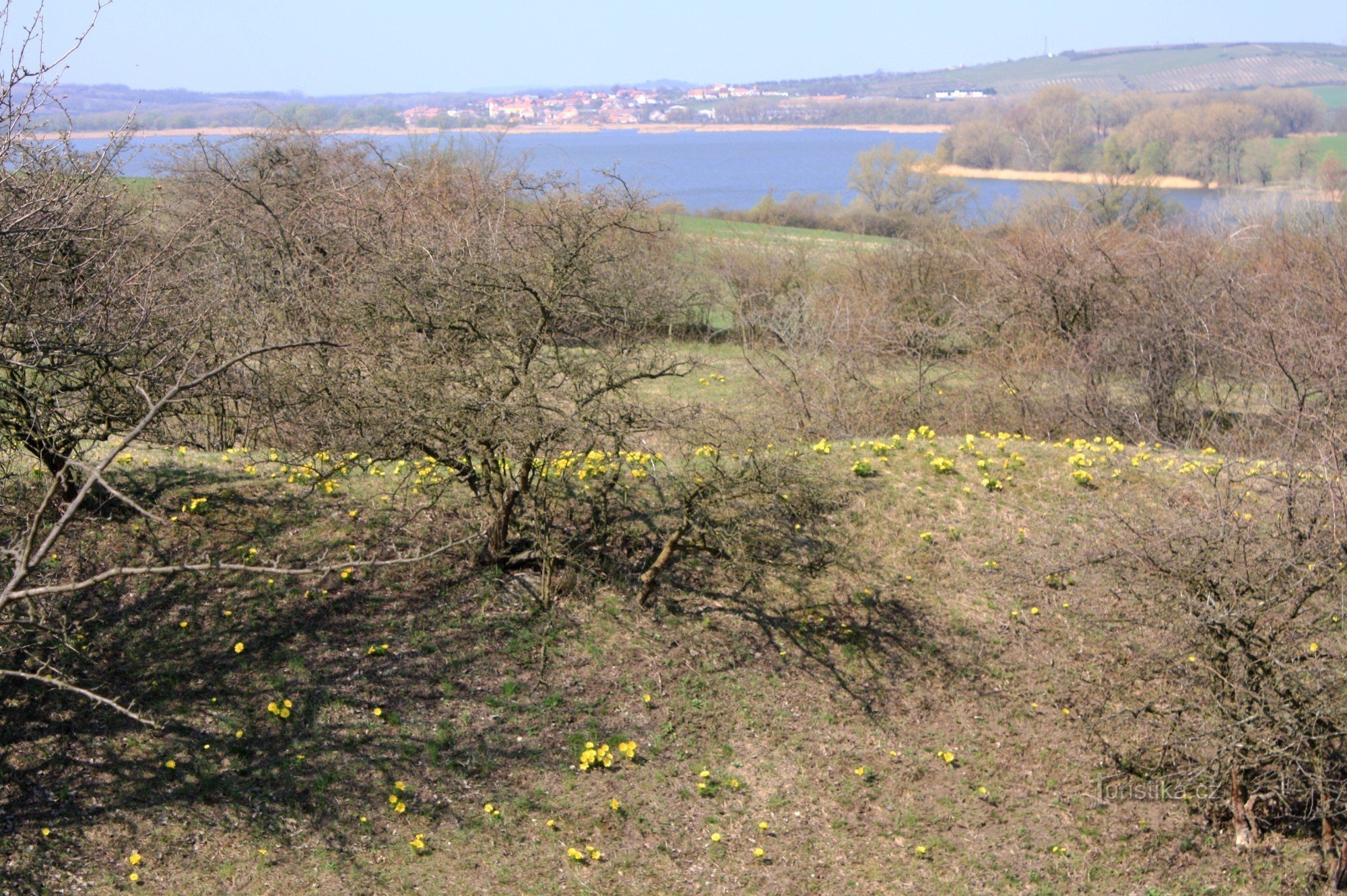 Pohled z Kamenic na rybník Nesyt a obec Sedlec