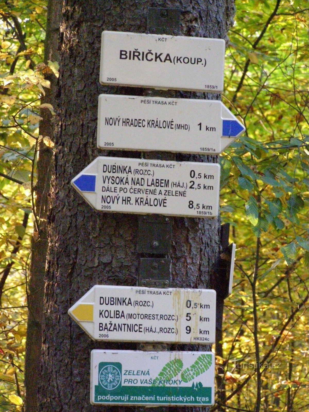 Rozcestí Biřička - Hradecké lesy