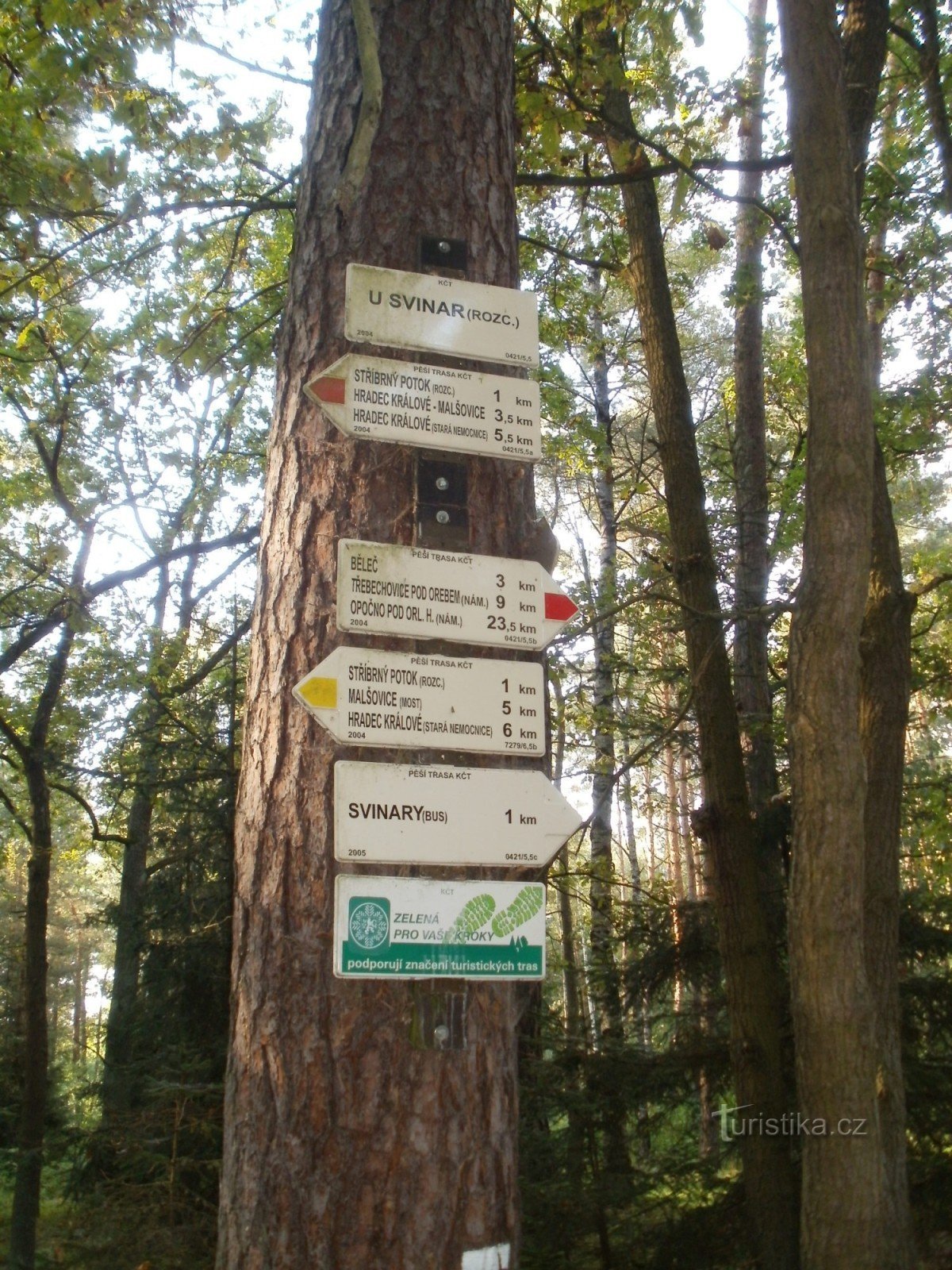 Rozcestí u Svinar - Hradecké lesy