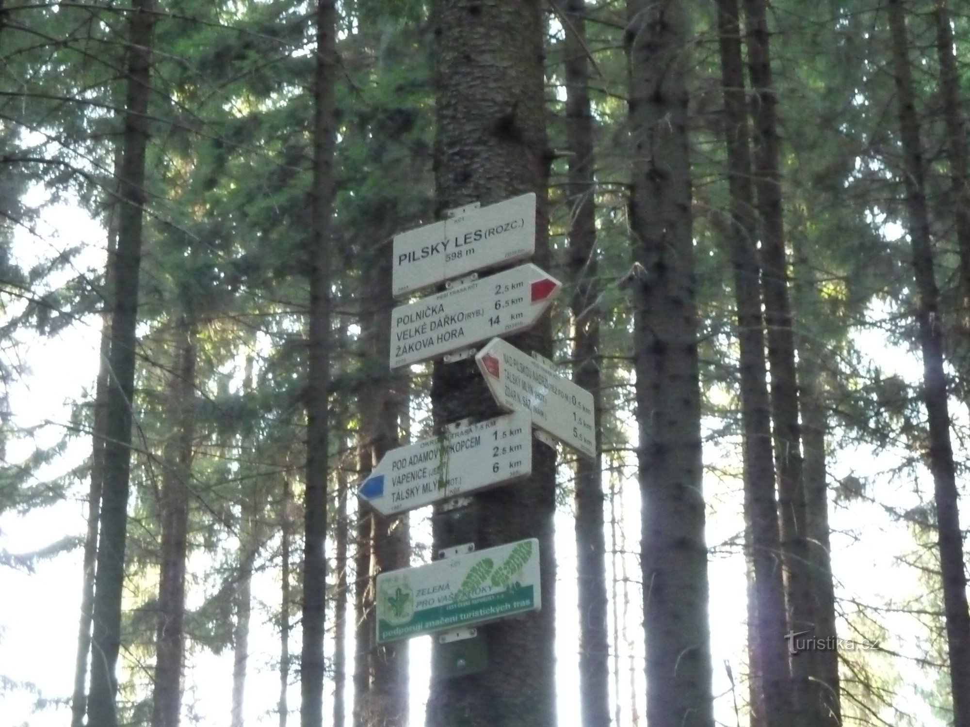 turistické rozcestí Pilský les