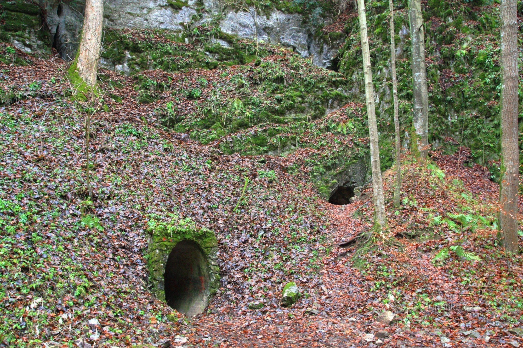 Vchod do Amatérské jeskyně, vpravo pod skálou vchod do jeskyně Pod javorem