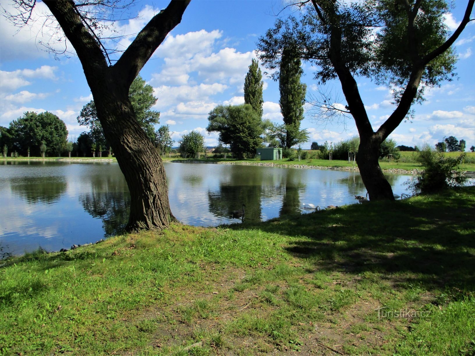 Vrškovský rybník (Libišany, 7.9.2020)
