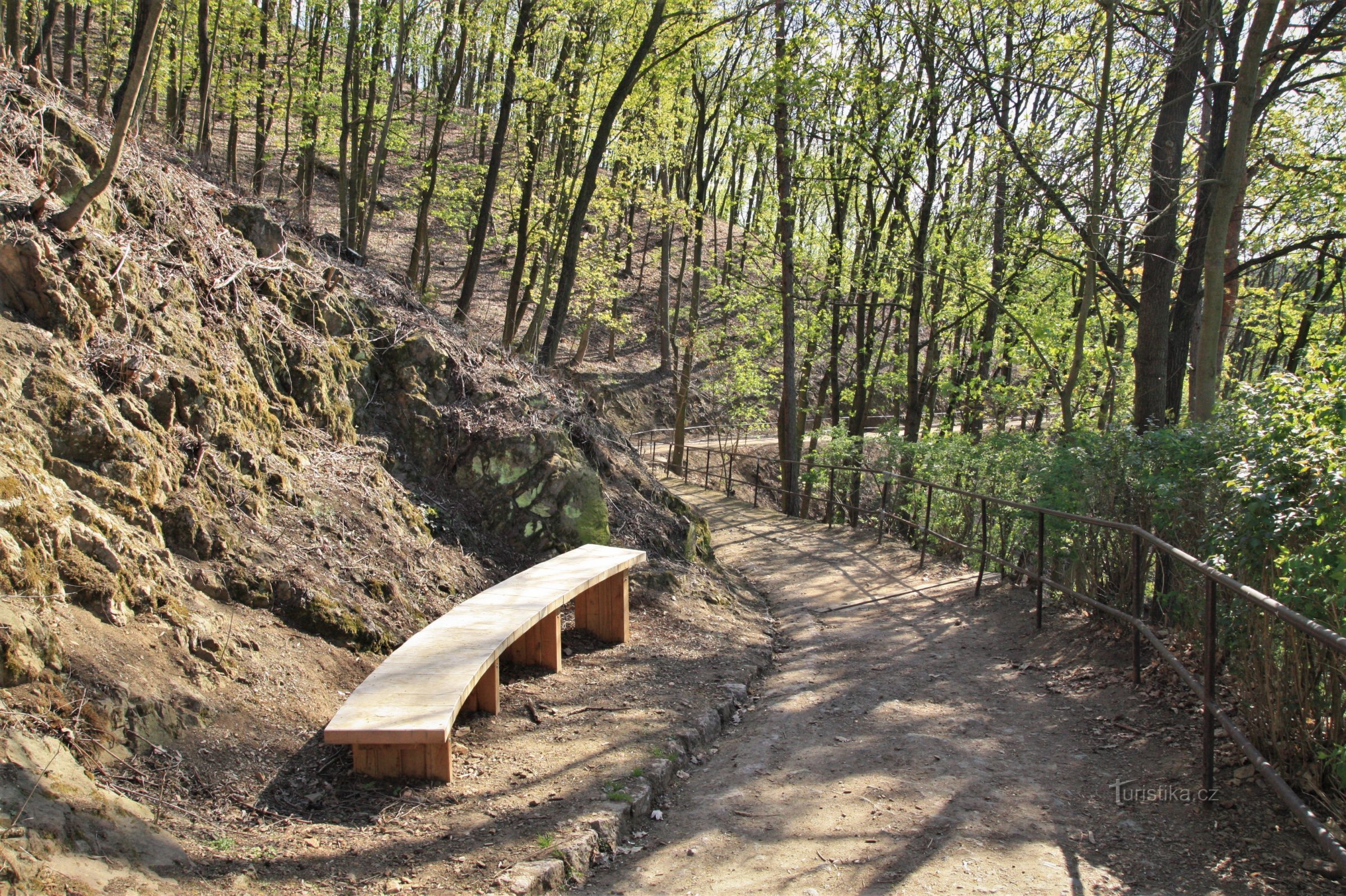 Vrstevnicová cesta s lavičkou ve Wilsonově lese