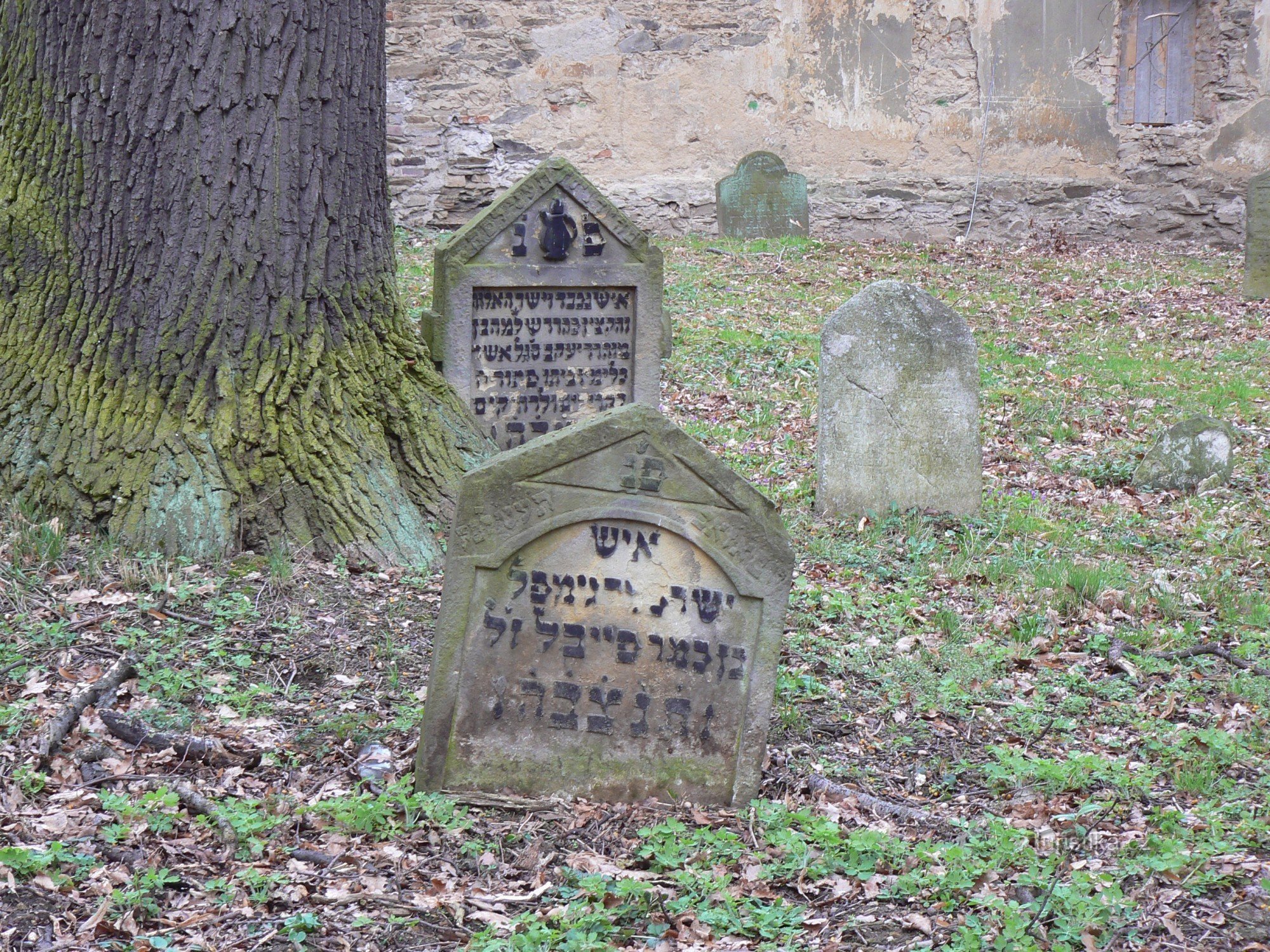 Židovský hřbitov Uhříněves