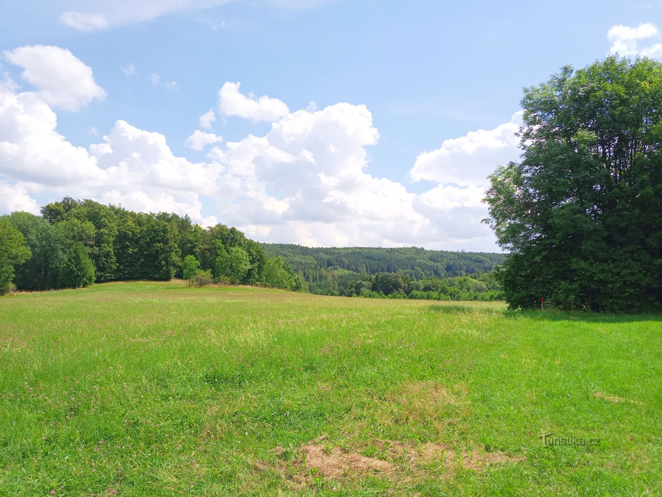 0. Les vues lointaines de la région étaient enchanteresses