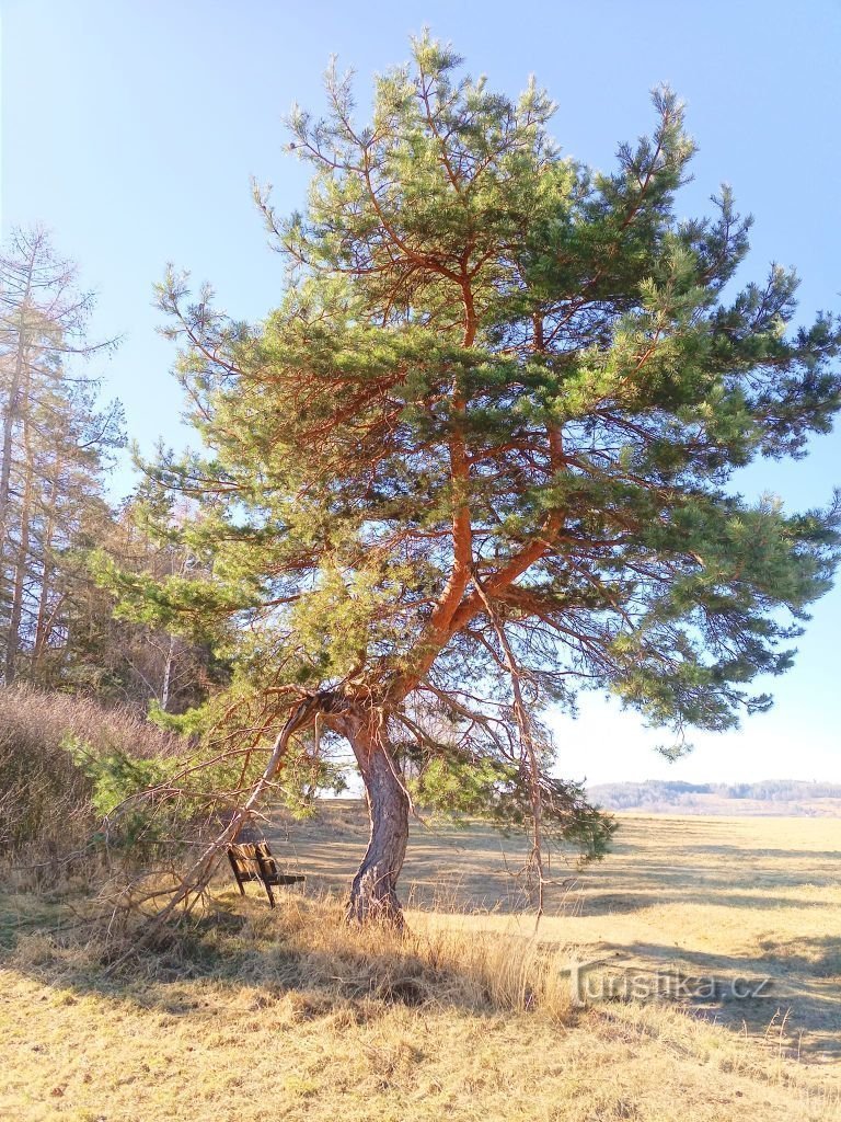 0. Una bella giornata nella splendida natura