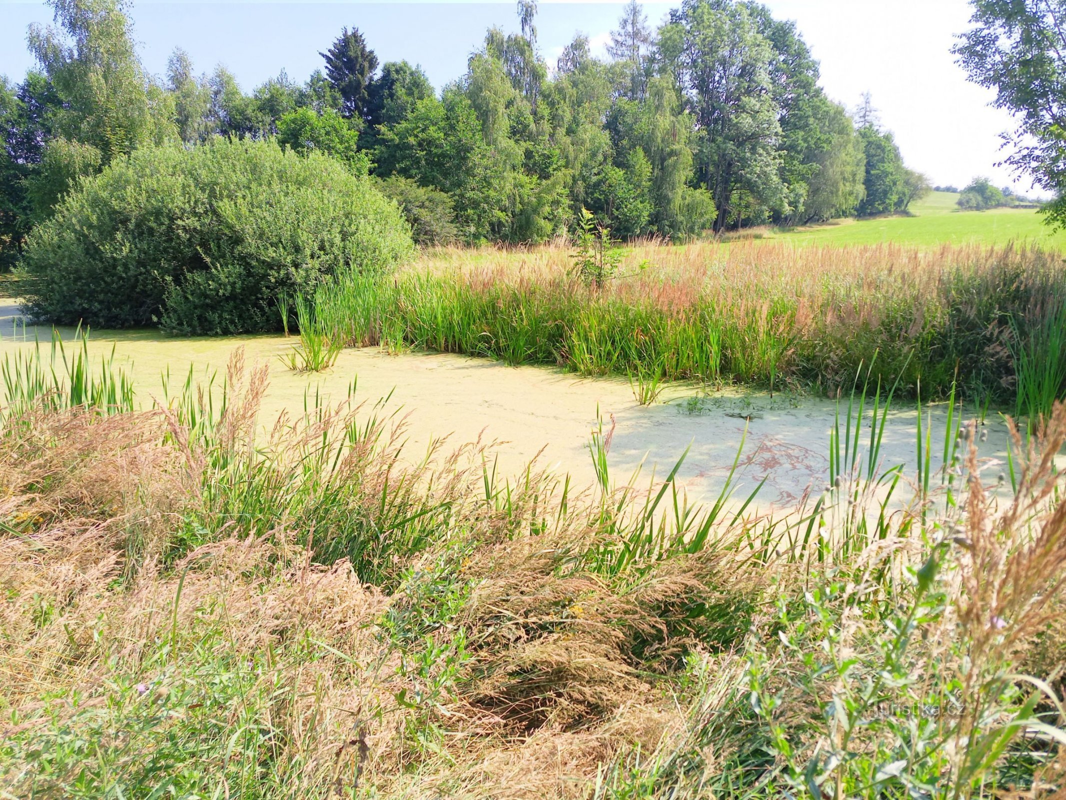 0. Durch eine malerische Landschaft durch das Land