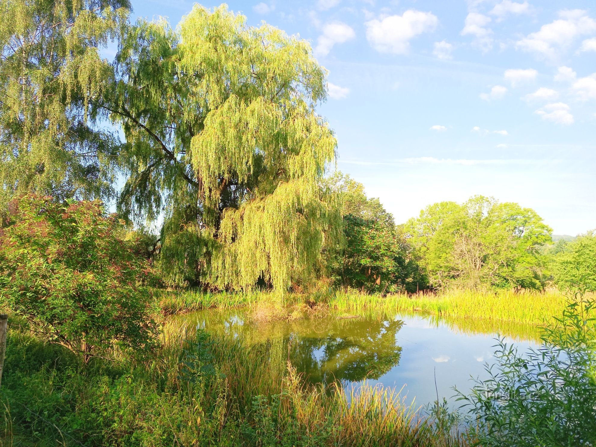 0. Nadějkovsko and Jistebnicko - region of ponds