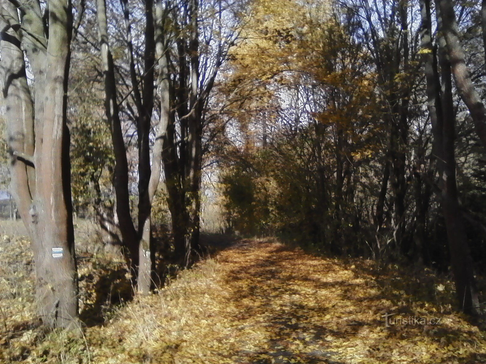 0. Otoño lleno de colores