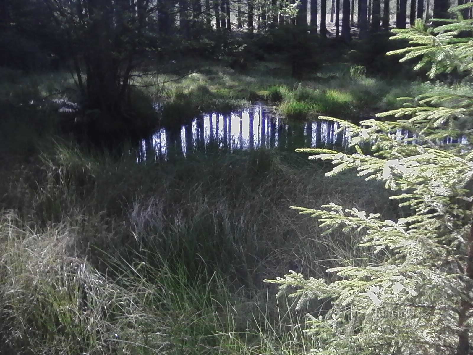 0. De bron van de rivier de Trnava (Trnávky), met een lengte van 56,3 km.