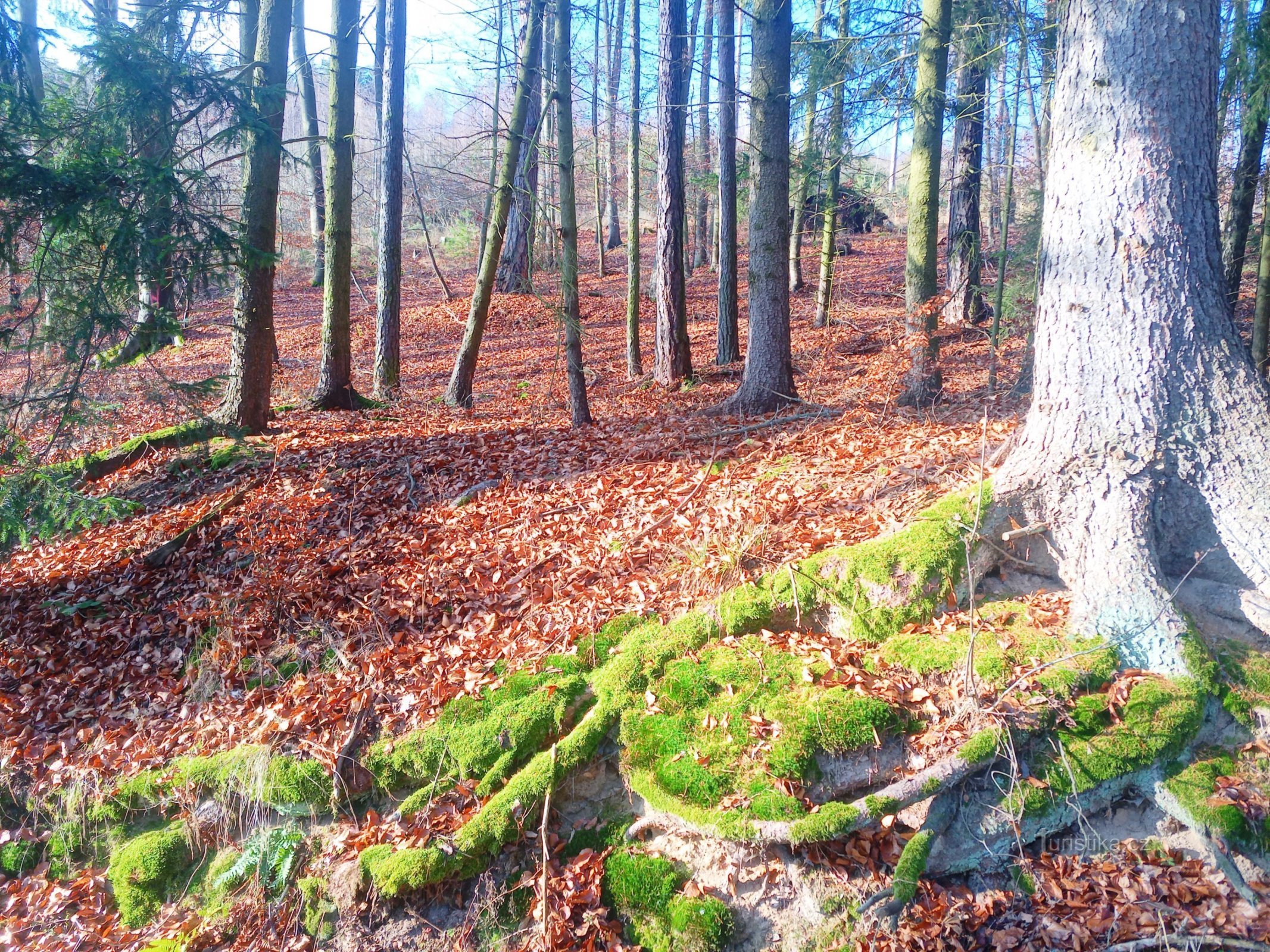 0. La période avant Noël ressemblait plus au printemps