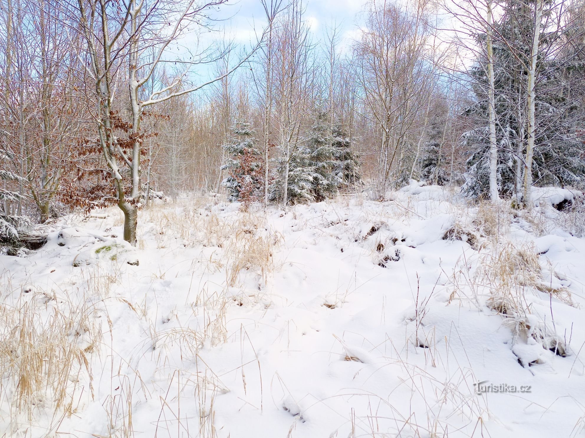 0. Vagando atrás de pedras embutidas em um manto de neve