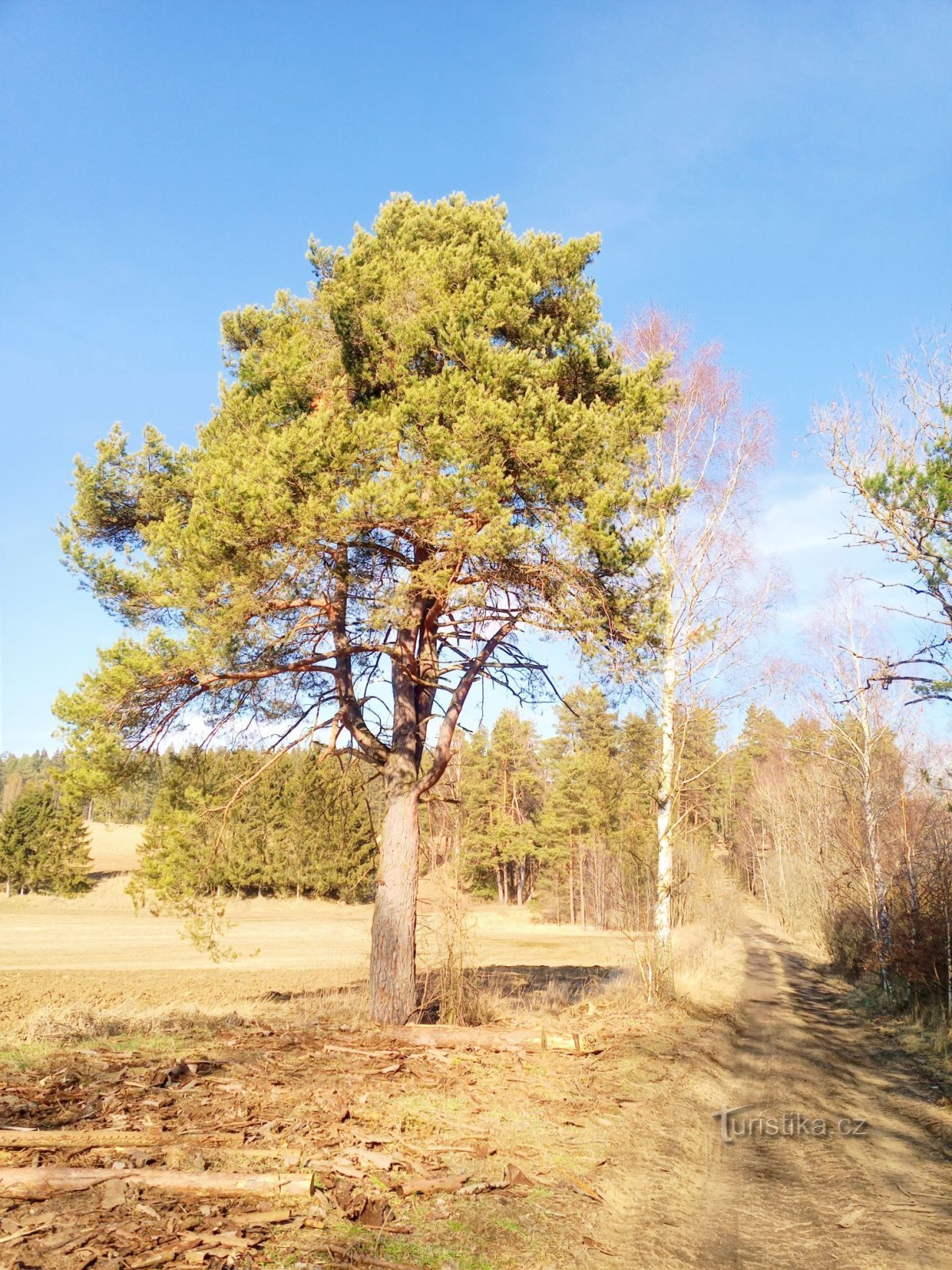 0. Solen sken, bara sådär