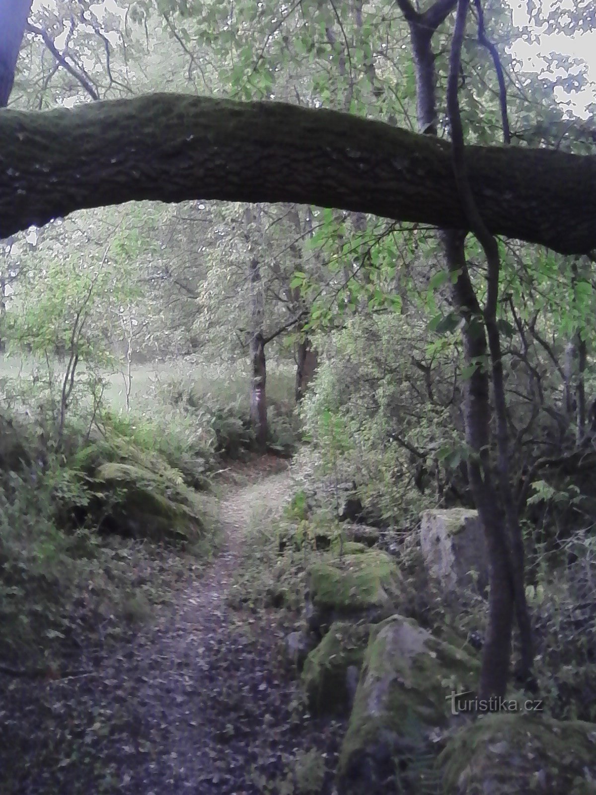 0. A través de caminos misteriosos a lo largo de las rocas.