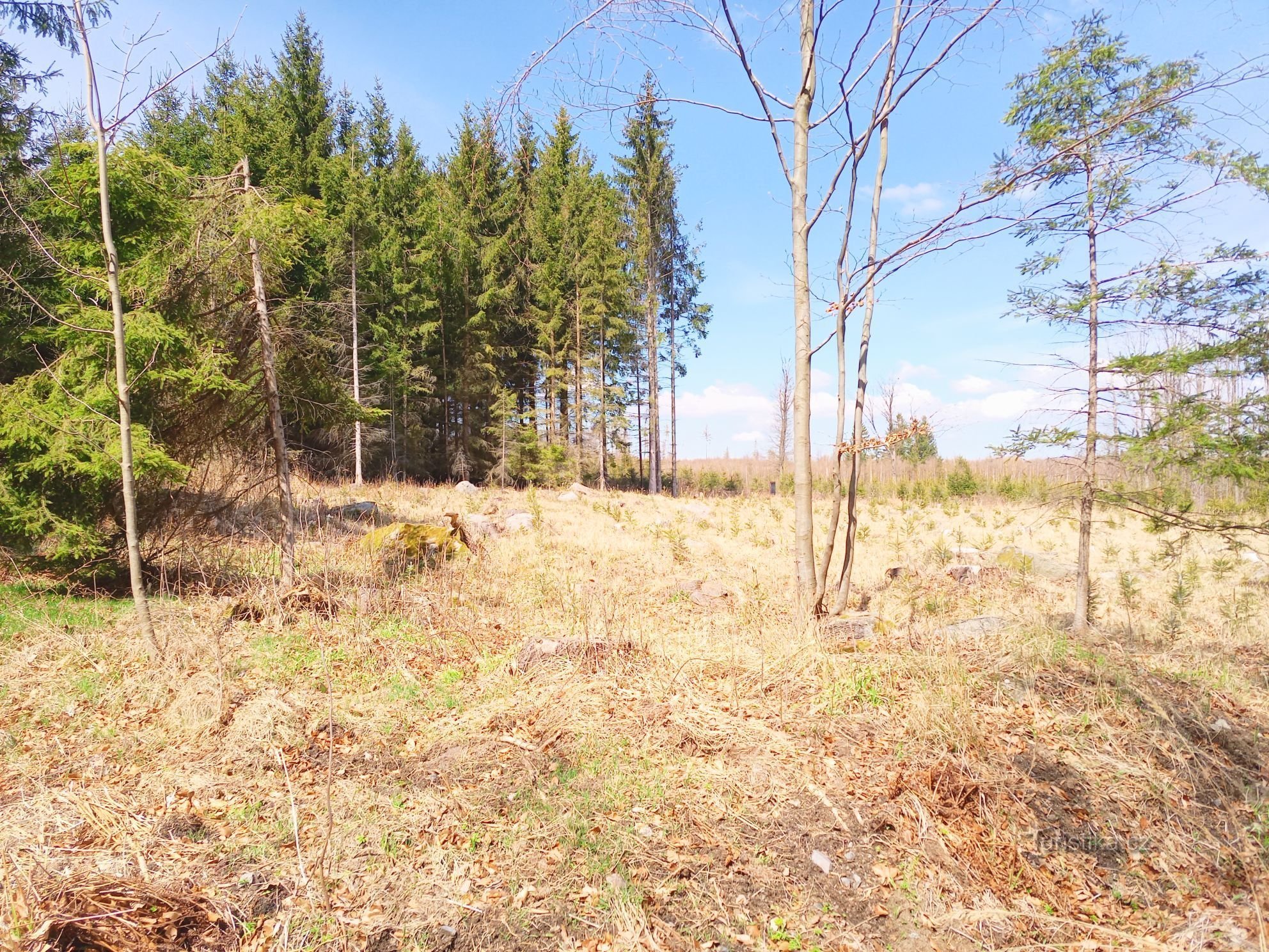 0. Rătăcire prin natura magică