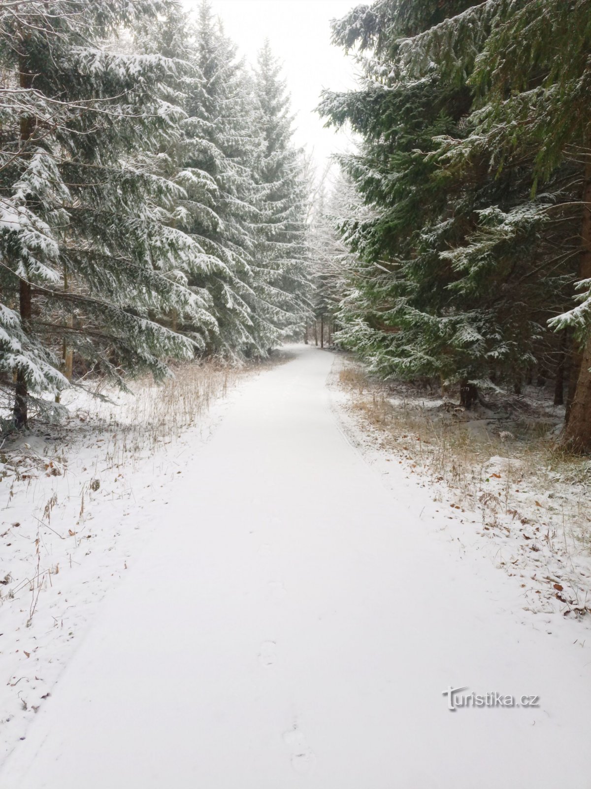 0. Errer dans la neige avait sa propre atmosphère magique