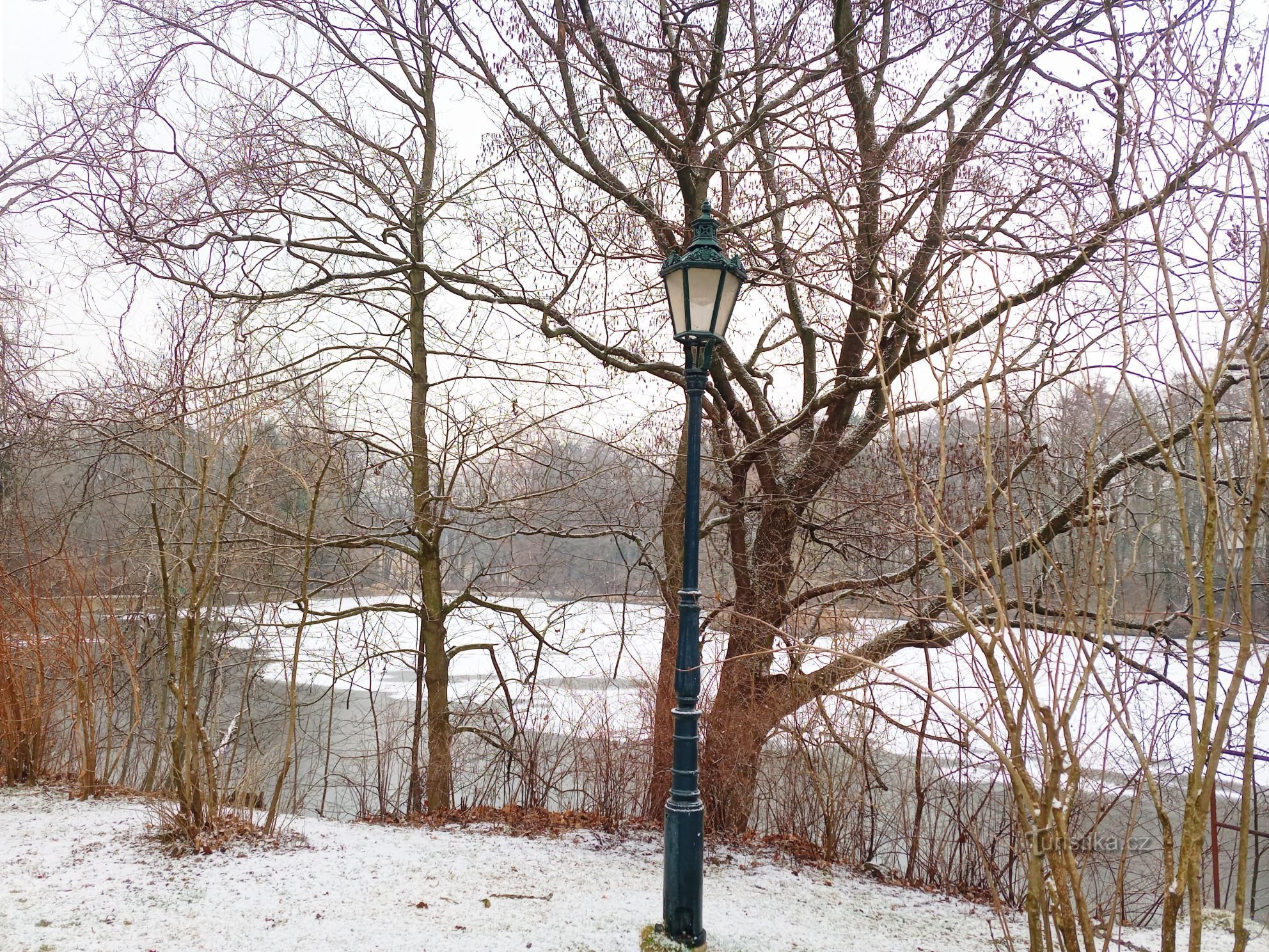 0. Das Stillleben ist eher winterlich, obwohl es bereits März ist