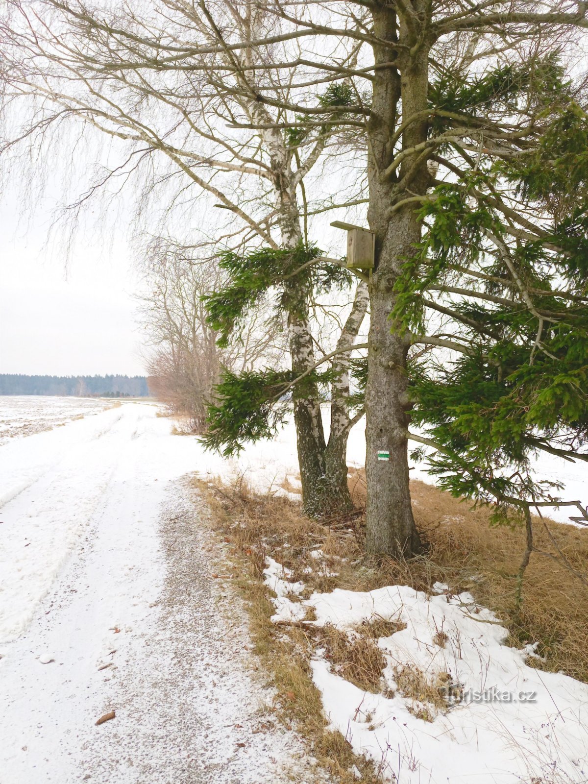 0. Hautes Terres d'Hiver