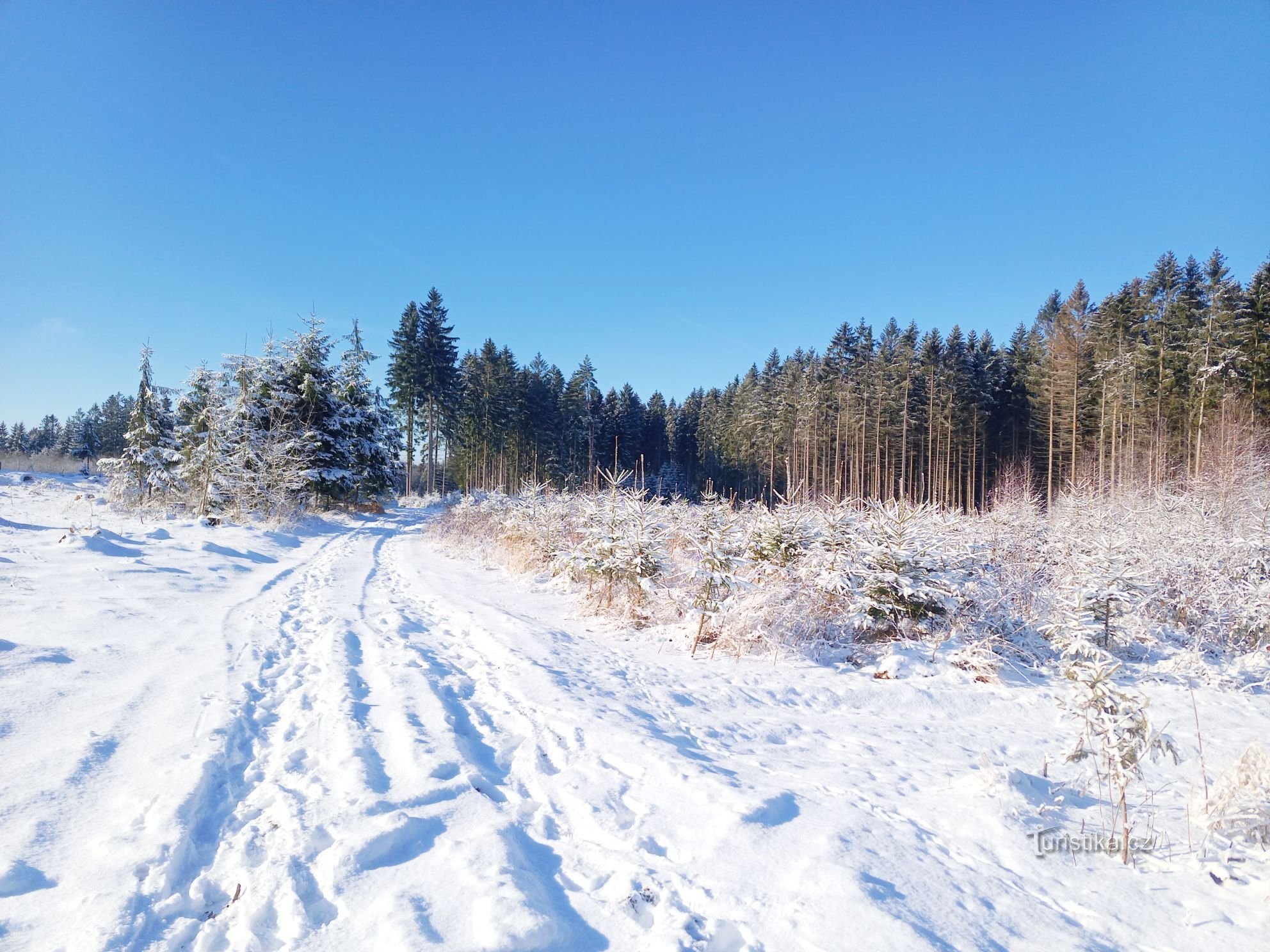 0. Winter Highlands bathed in the sun