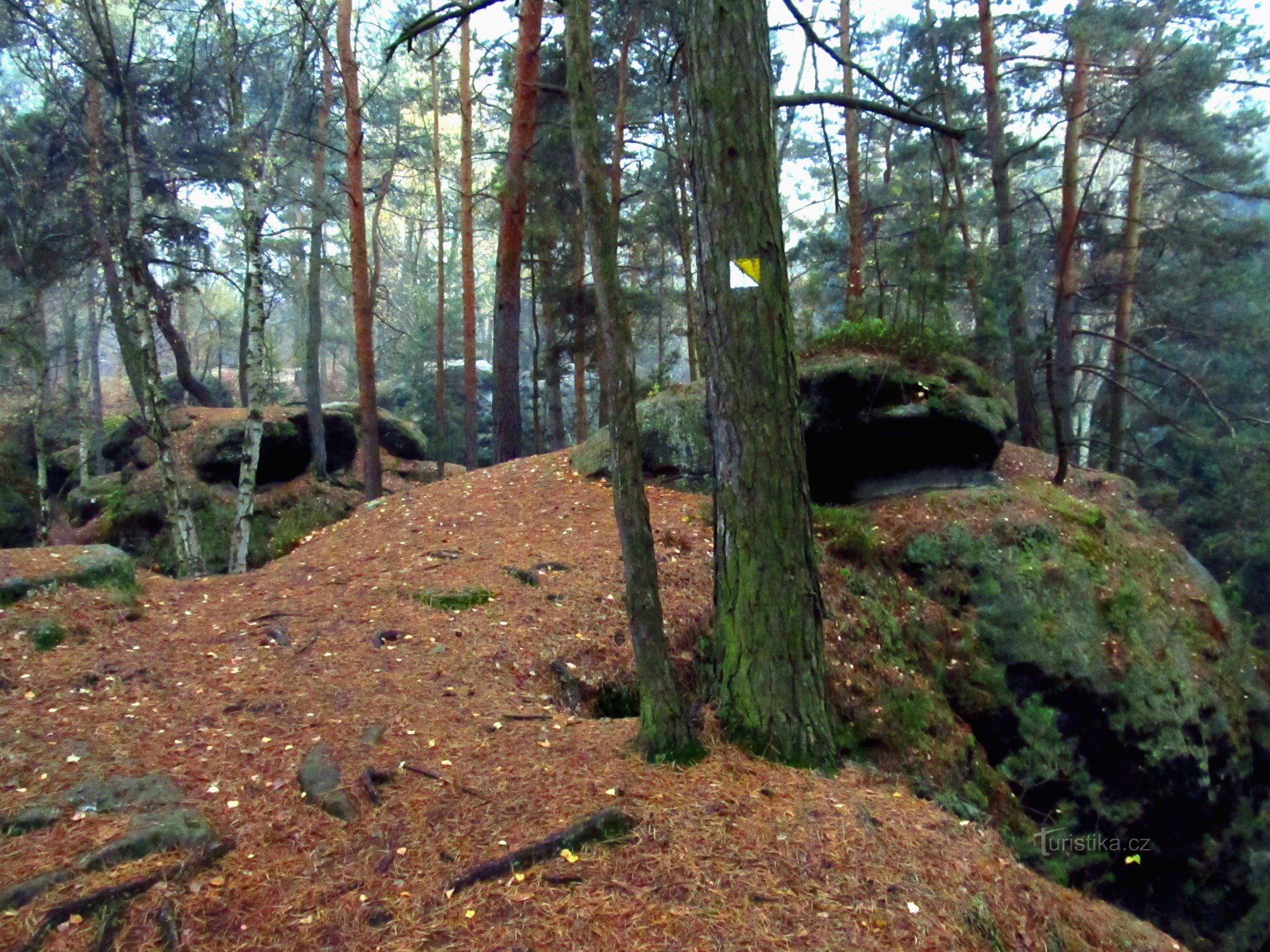 01 Do kamenog grada iznad Mšena