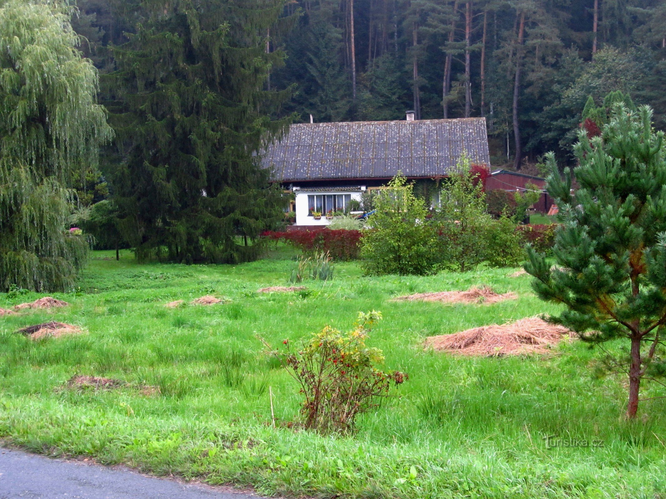 01 Zum Dorf Blata - Maršov