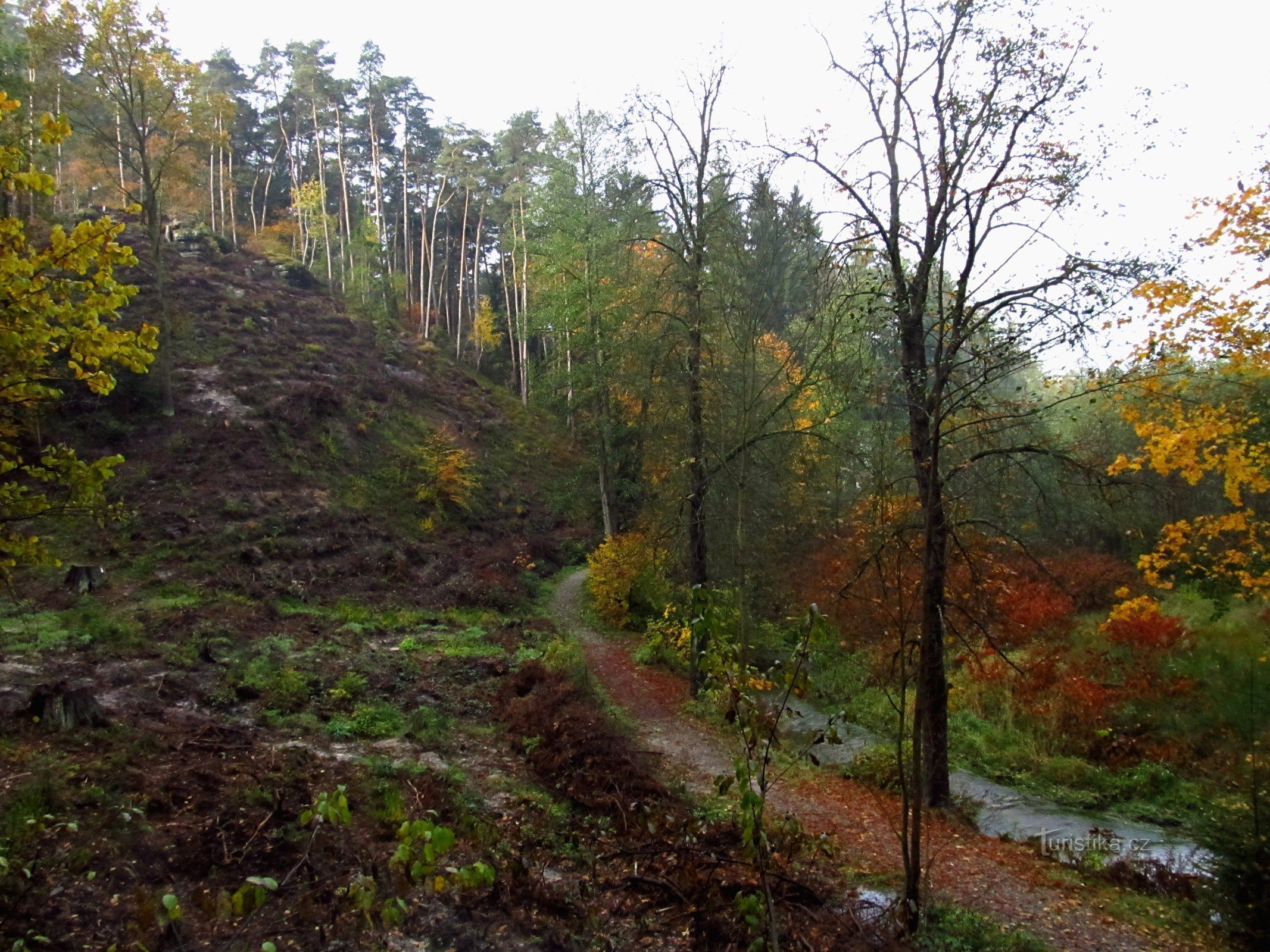 01 Du château au théâtre forestier