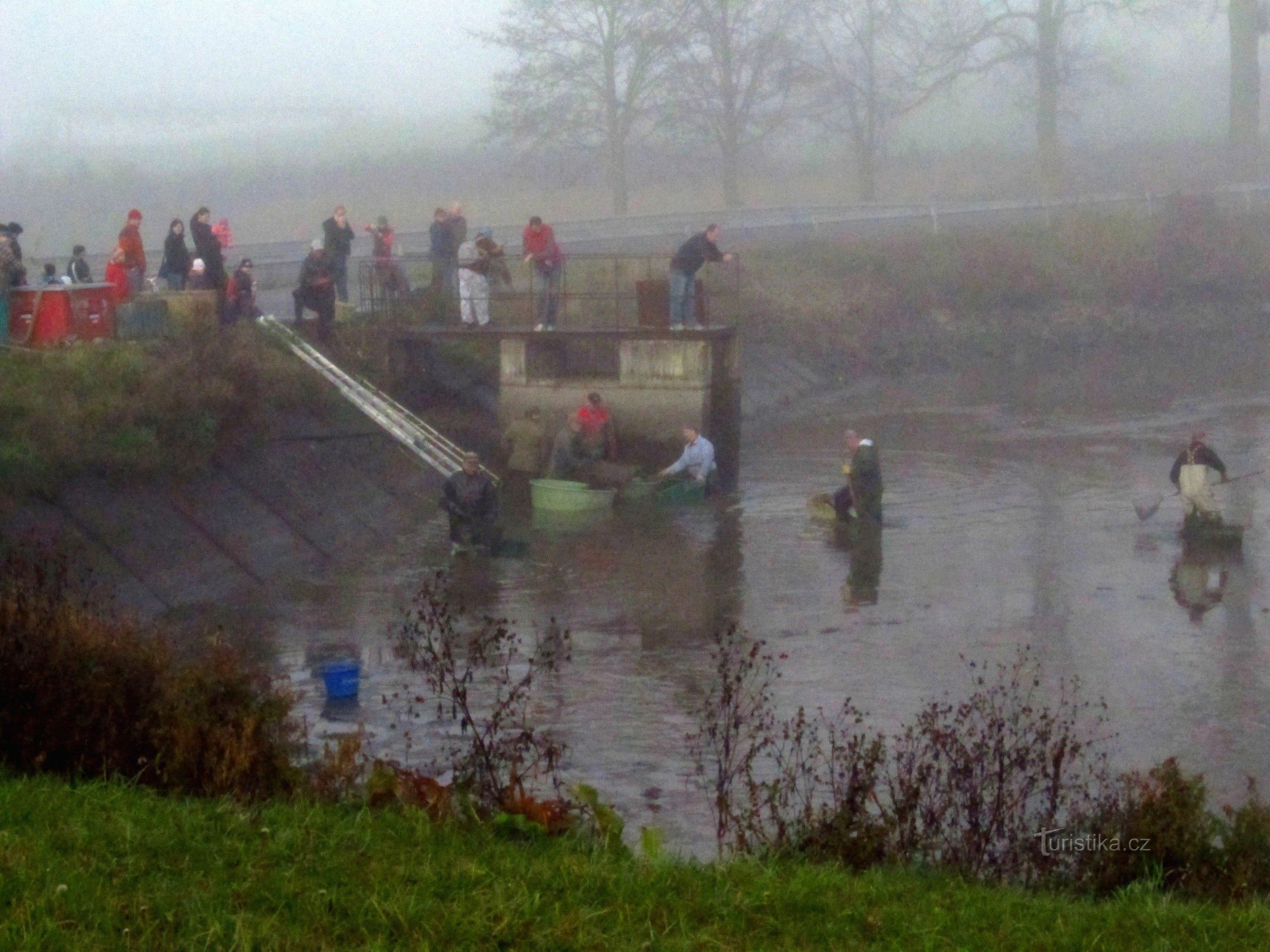 01 Výlov rybníka v Maršovicích