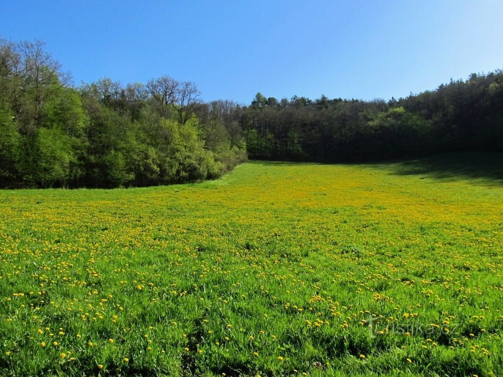 02 To the settlement of Železná