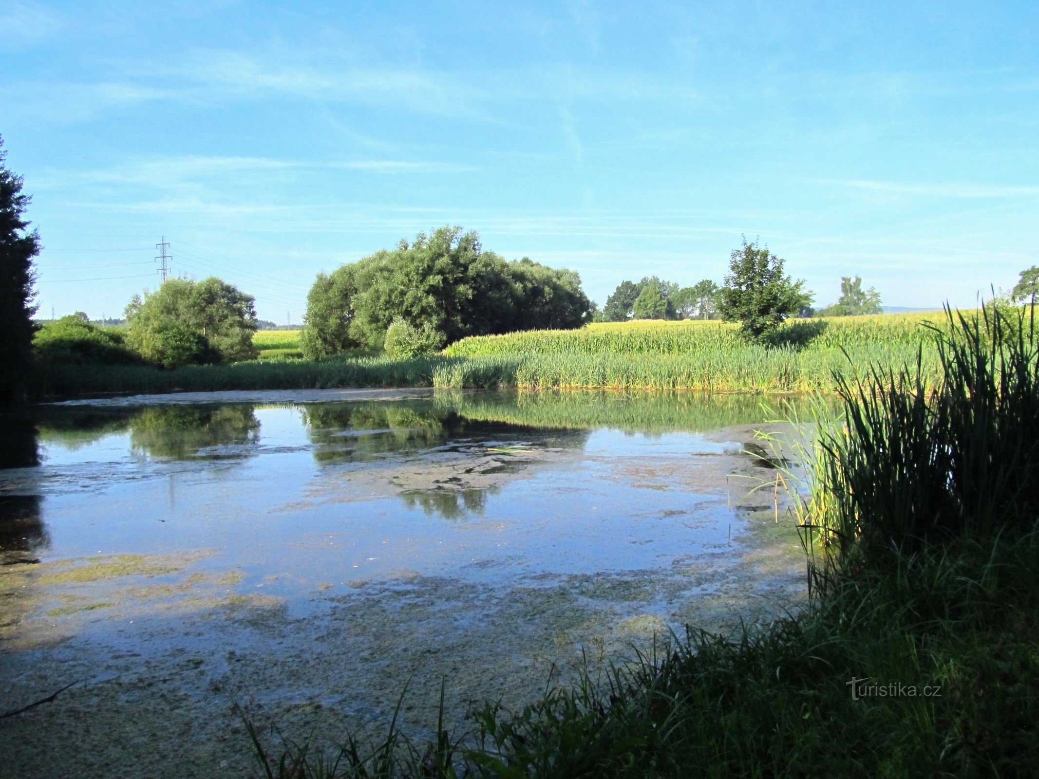 02 Sázava, park pond