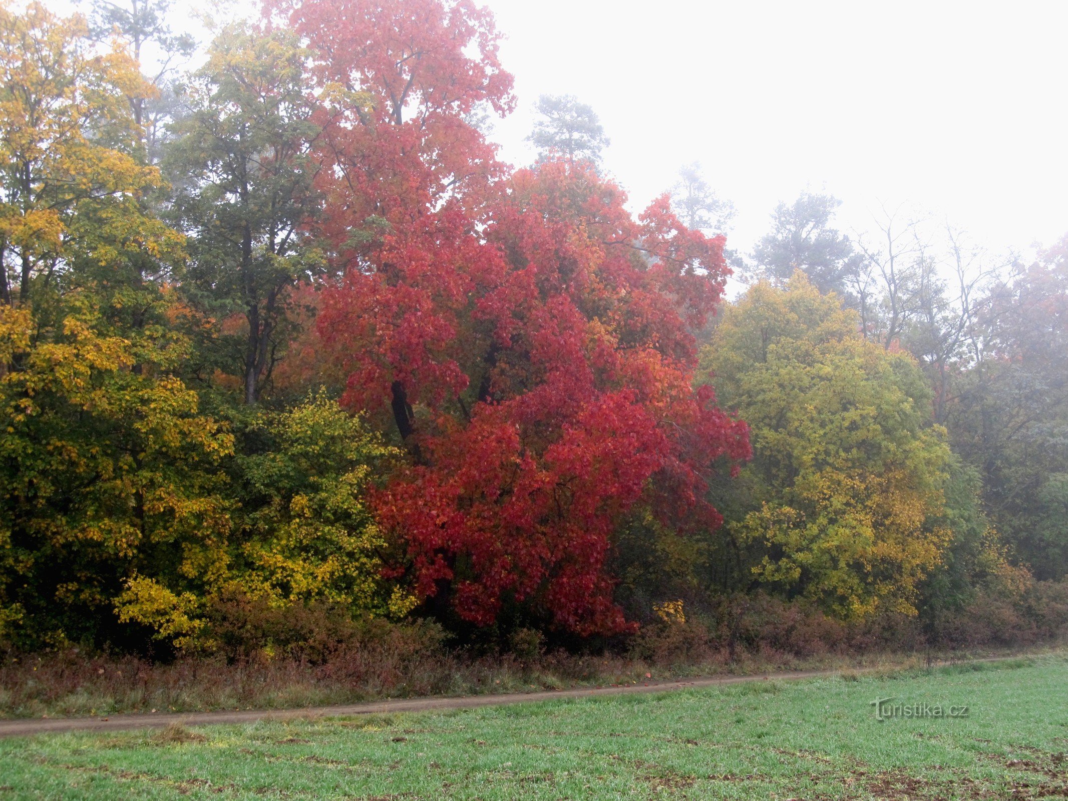 03 I colori dell'autunno