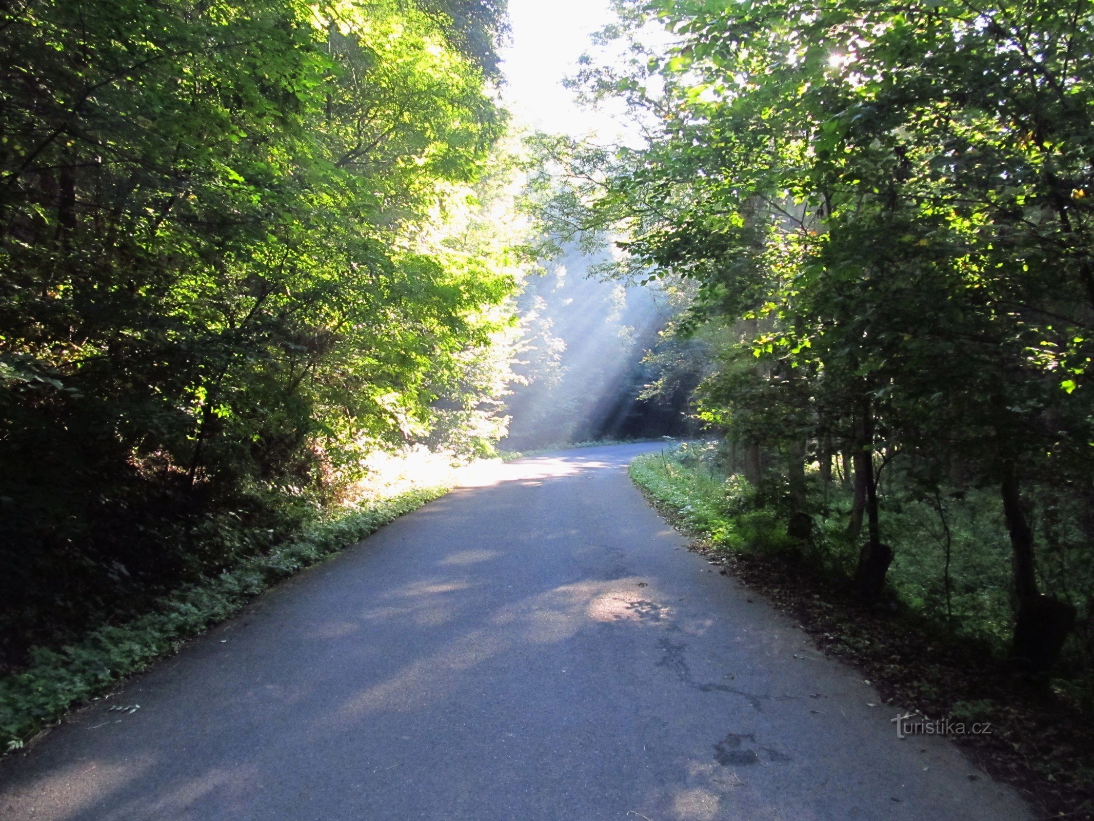 03 To the intersection Under Modrý vrchem