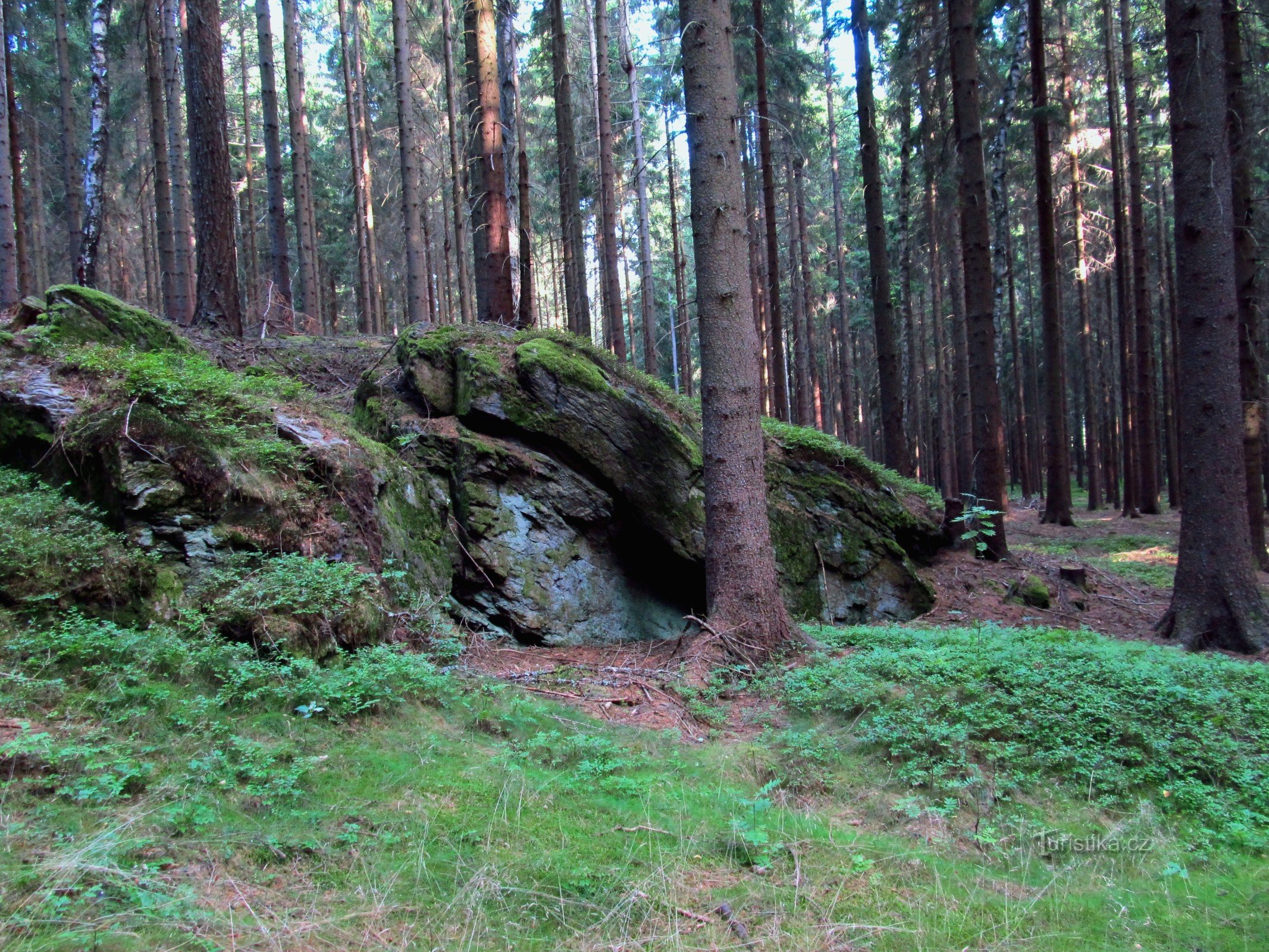 03 À travers la forêt jusqu'à Bílek