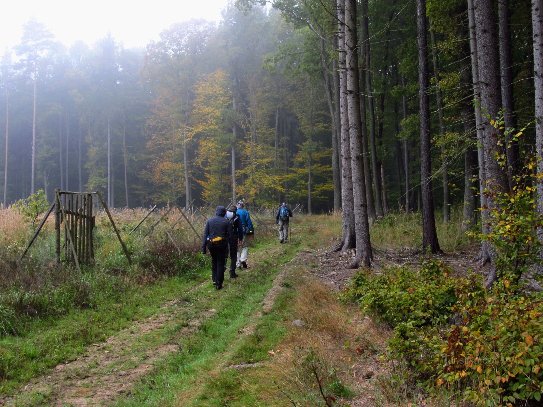 03 Folgen Sie dem Grün nach Plískov