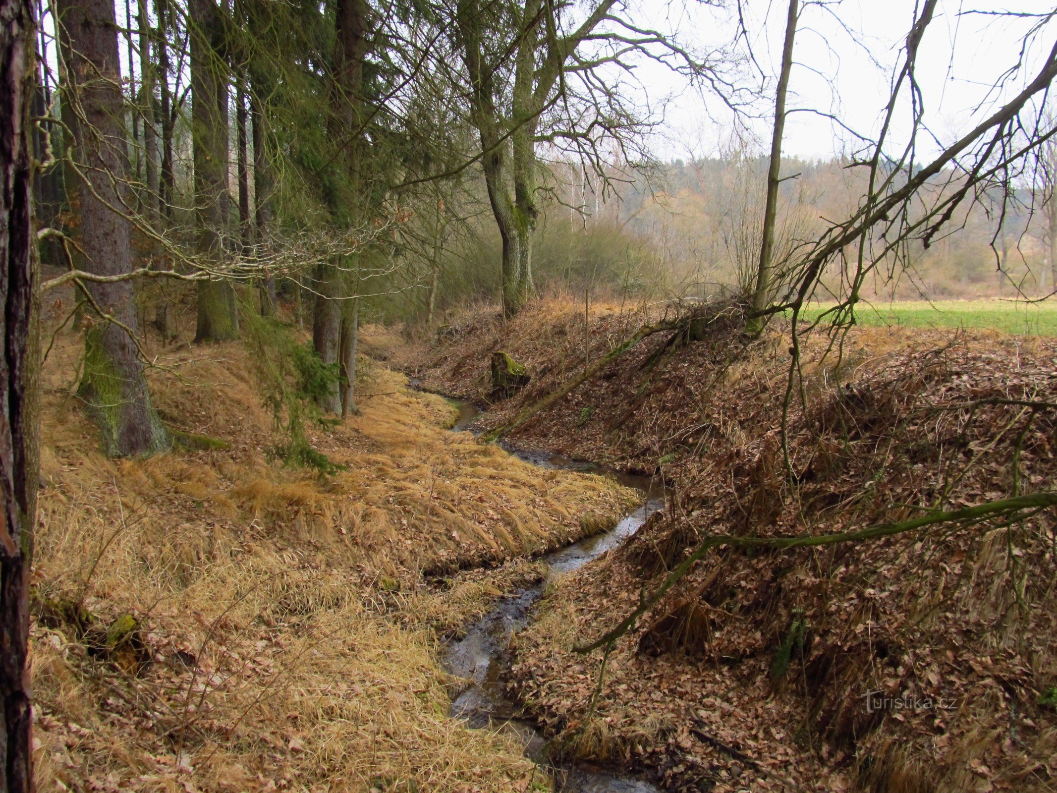 03 Blanica tributary