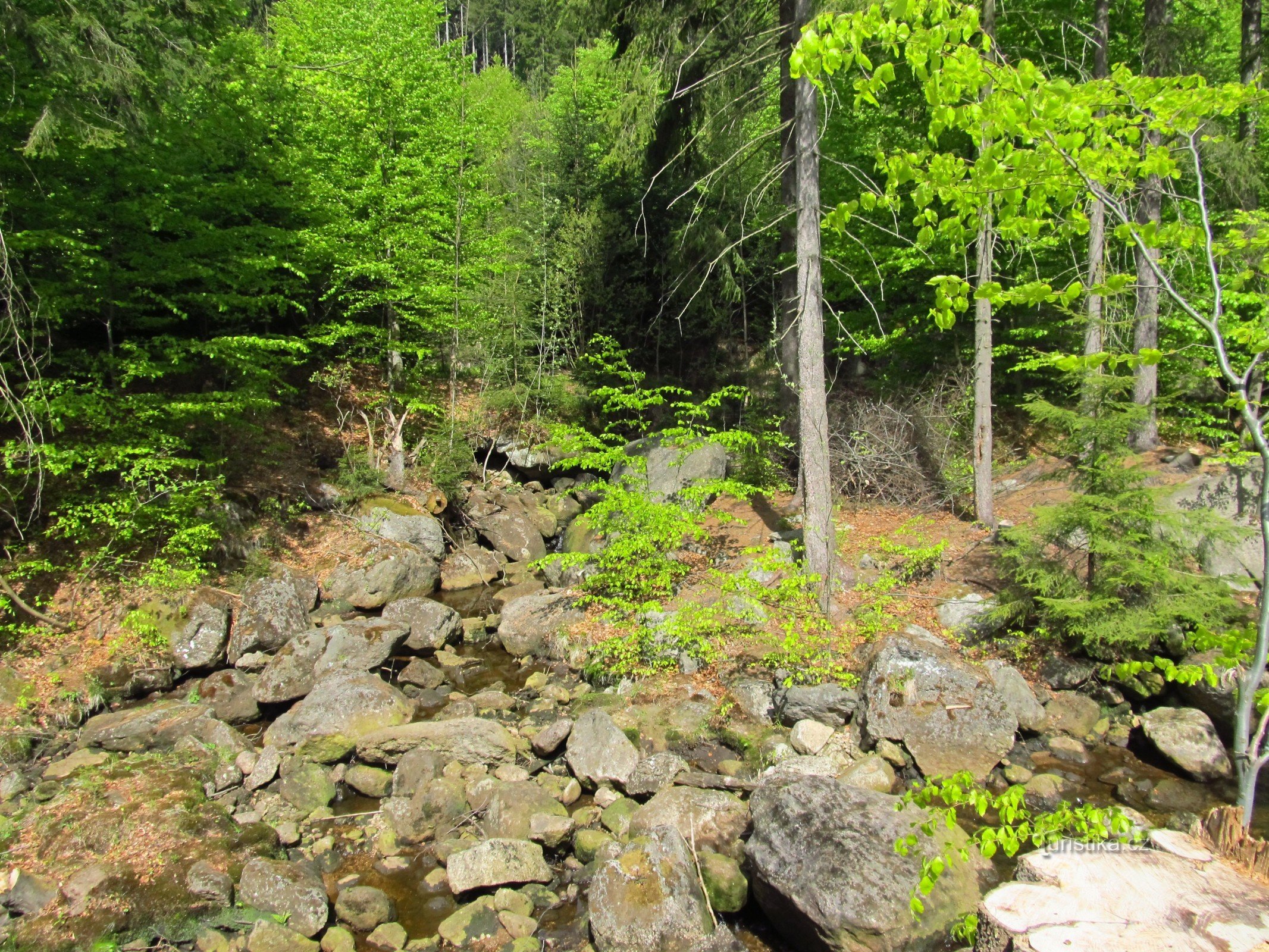 03 À travers la vallée de Černé Desná