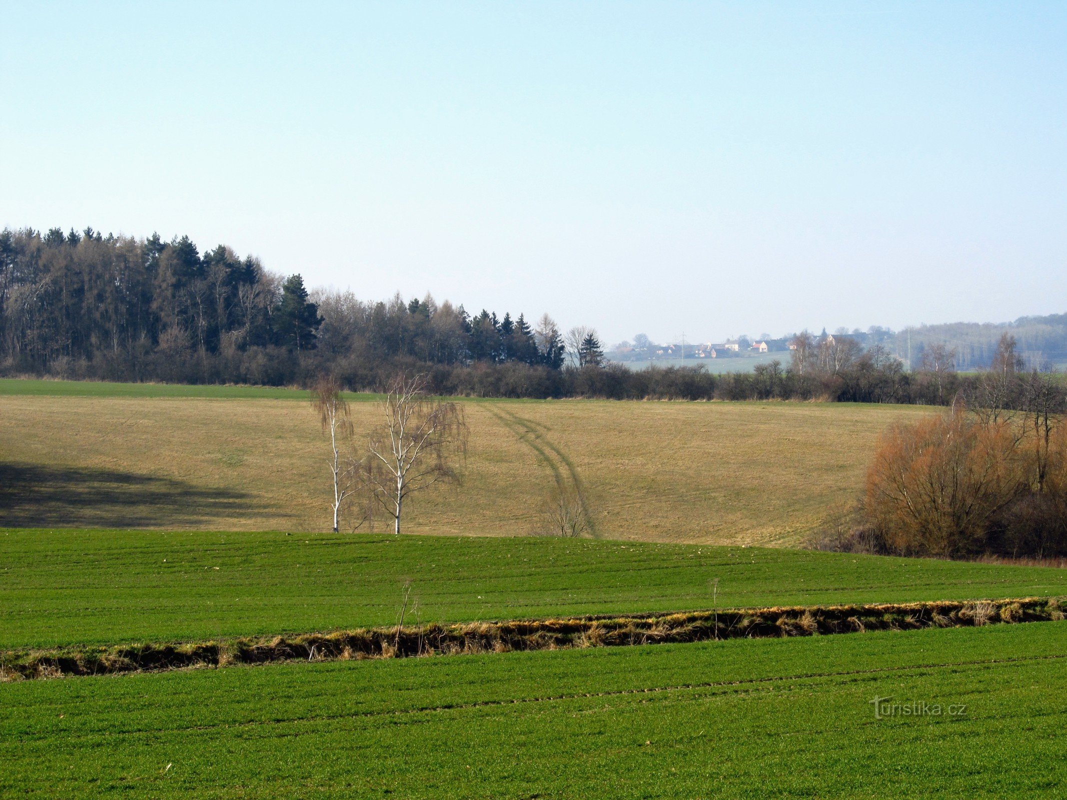 03 Atrás de Janovice para a floresta