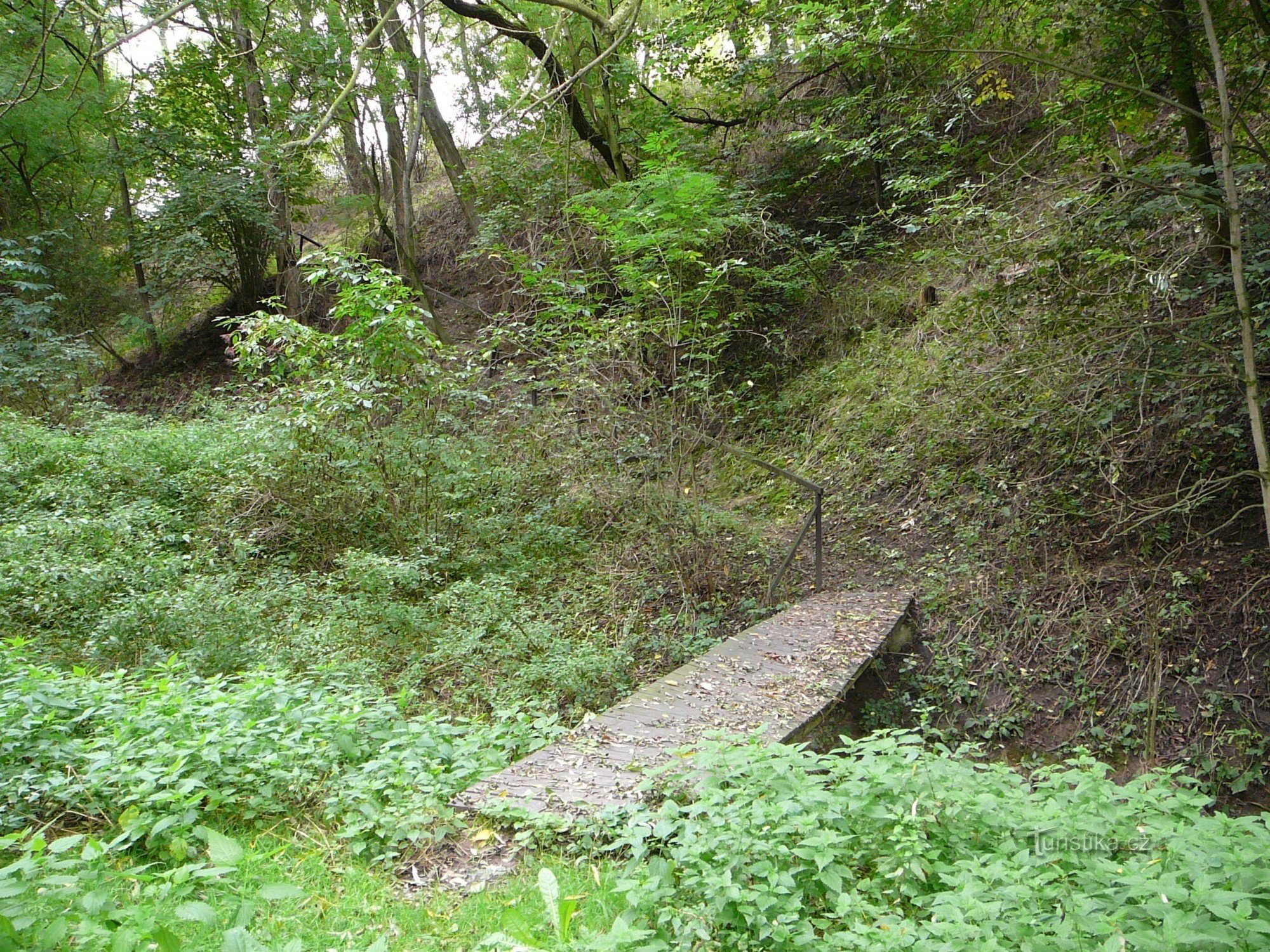 1. et en même temps 4. traversant le ruisseau