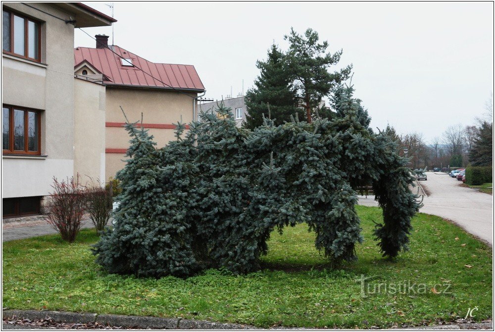 1-Elefante di Belgrado