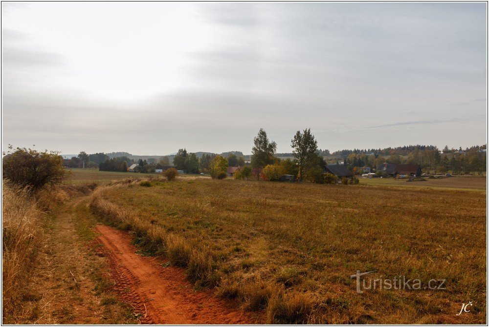 1-Myrtilles du chemin sous Čistecká hůra