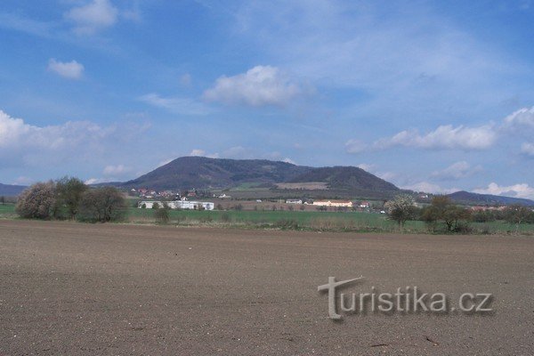 1. Auf dem Weg zum Schloss Ploskovické vom Bahnhof - links Dlouhý vrch 655 m.