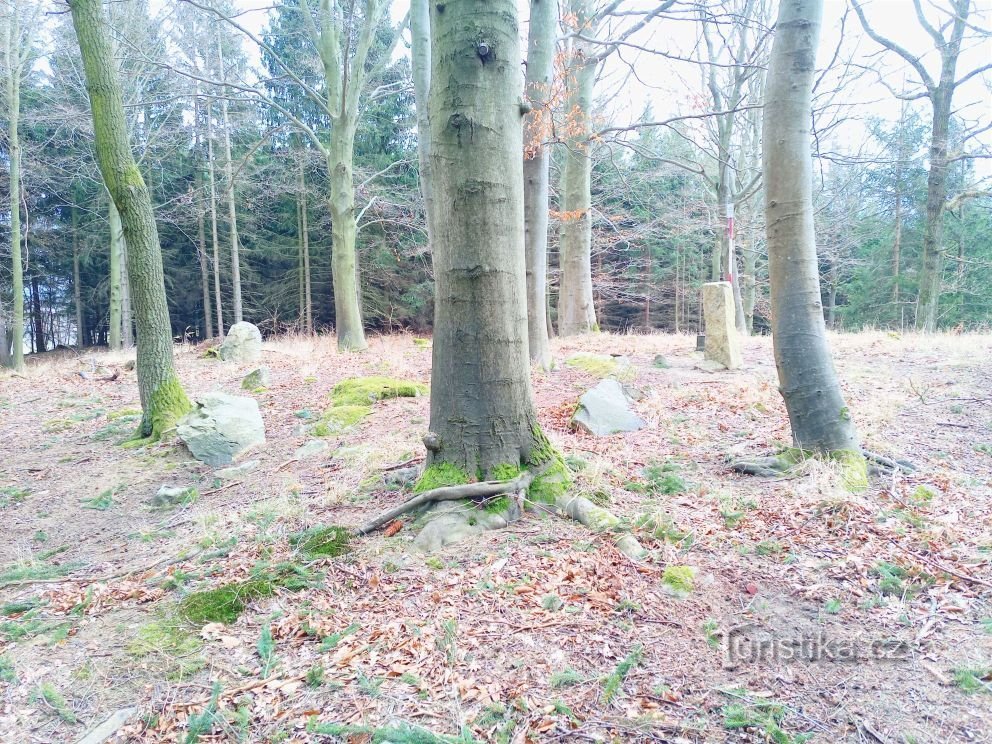 1. Circolo di pietre di menhir con un diametro di 9 m, a un'altitudine di 583 m vicino a Lovčice, LV 1