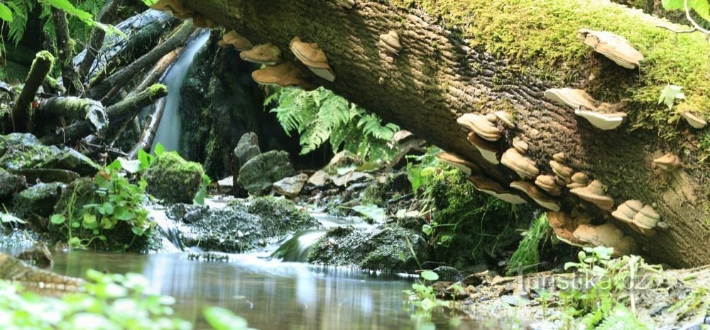 1. cascata sopra la confluenza dei corsi d'acqua