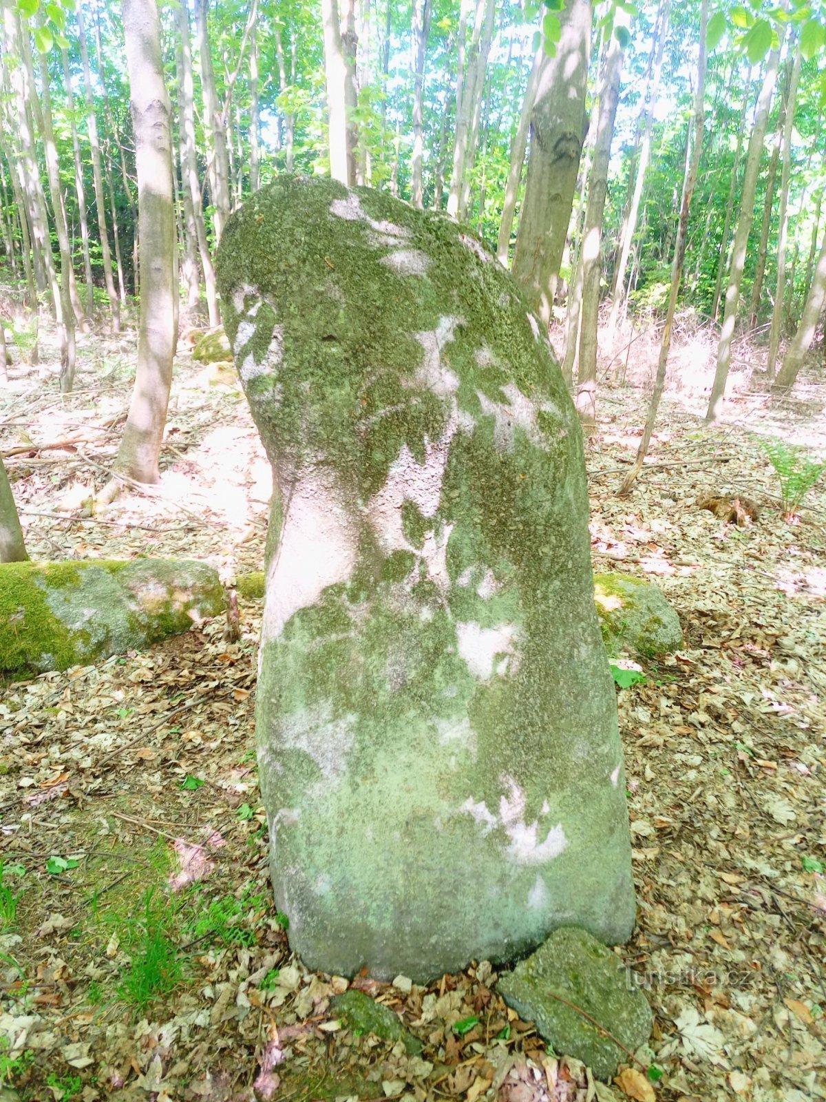 1. Menhir Homole I, HM1