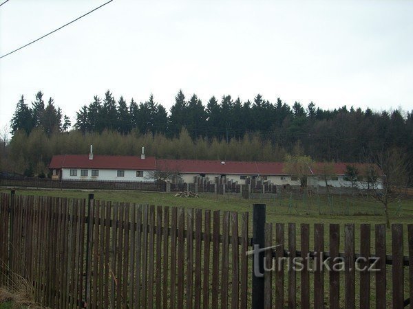 1. Refugio para perros bajo el bosque