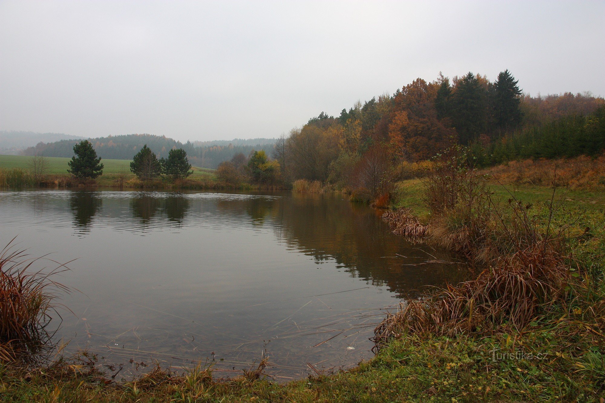 1-Teich hinter Holín