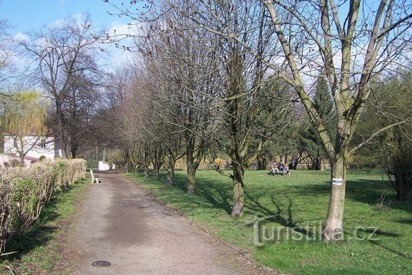 1.Vešly jsme do zámeckého parku z Teplické ulice